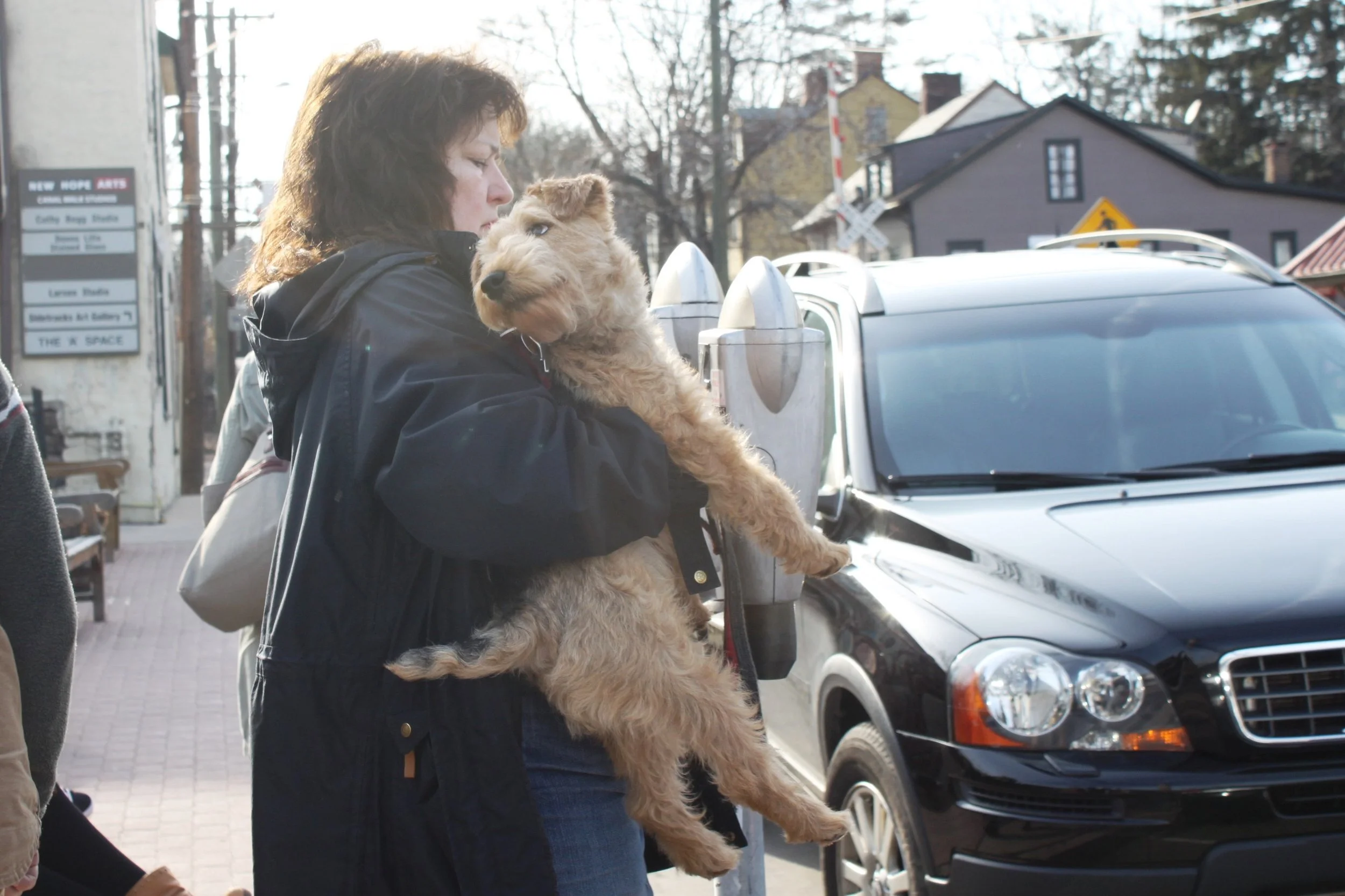 Глава 9: кавказские тетки на тропе войны 