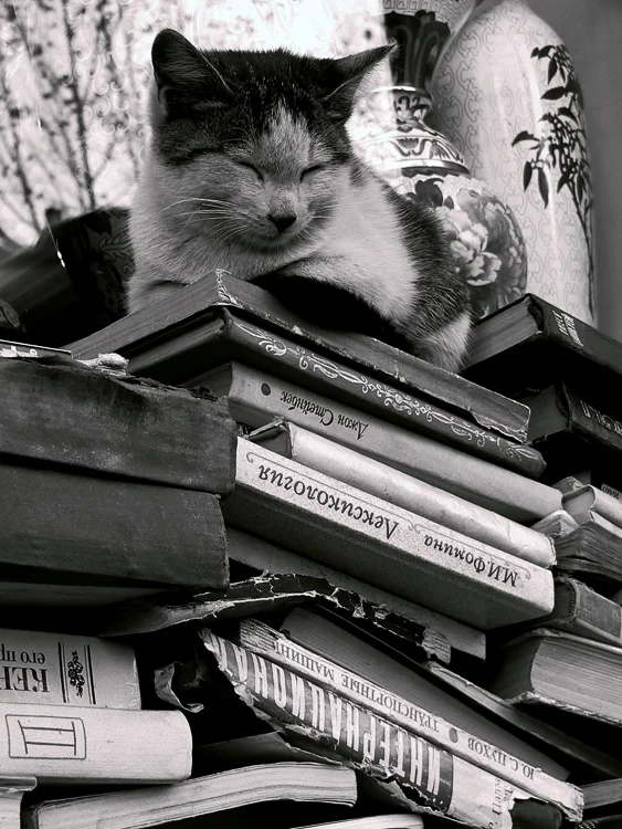 6 книг, которые помогут познакомиться с грузинской литературой