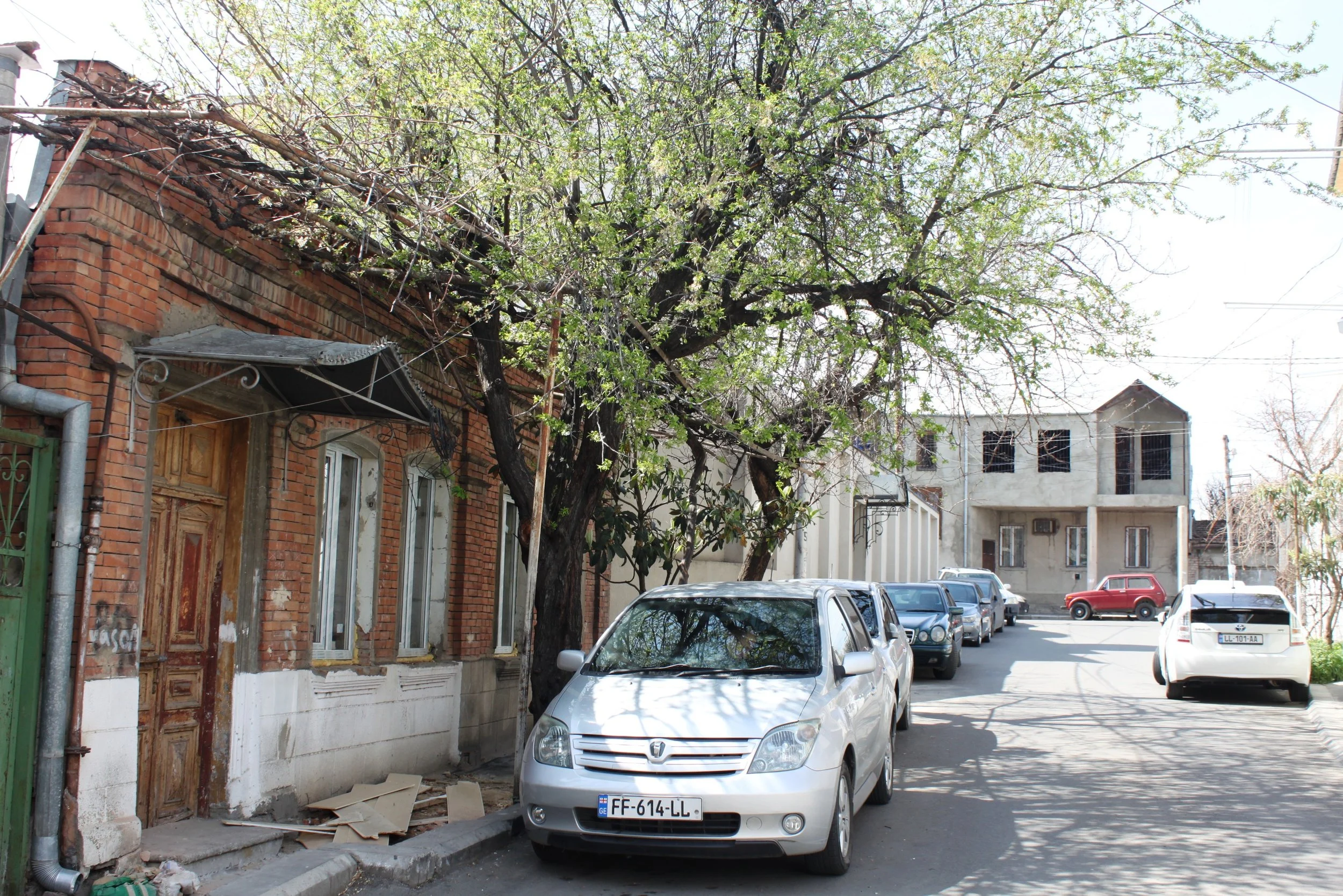 Лики ранней весны