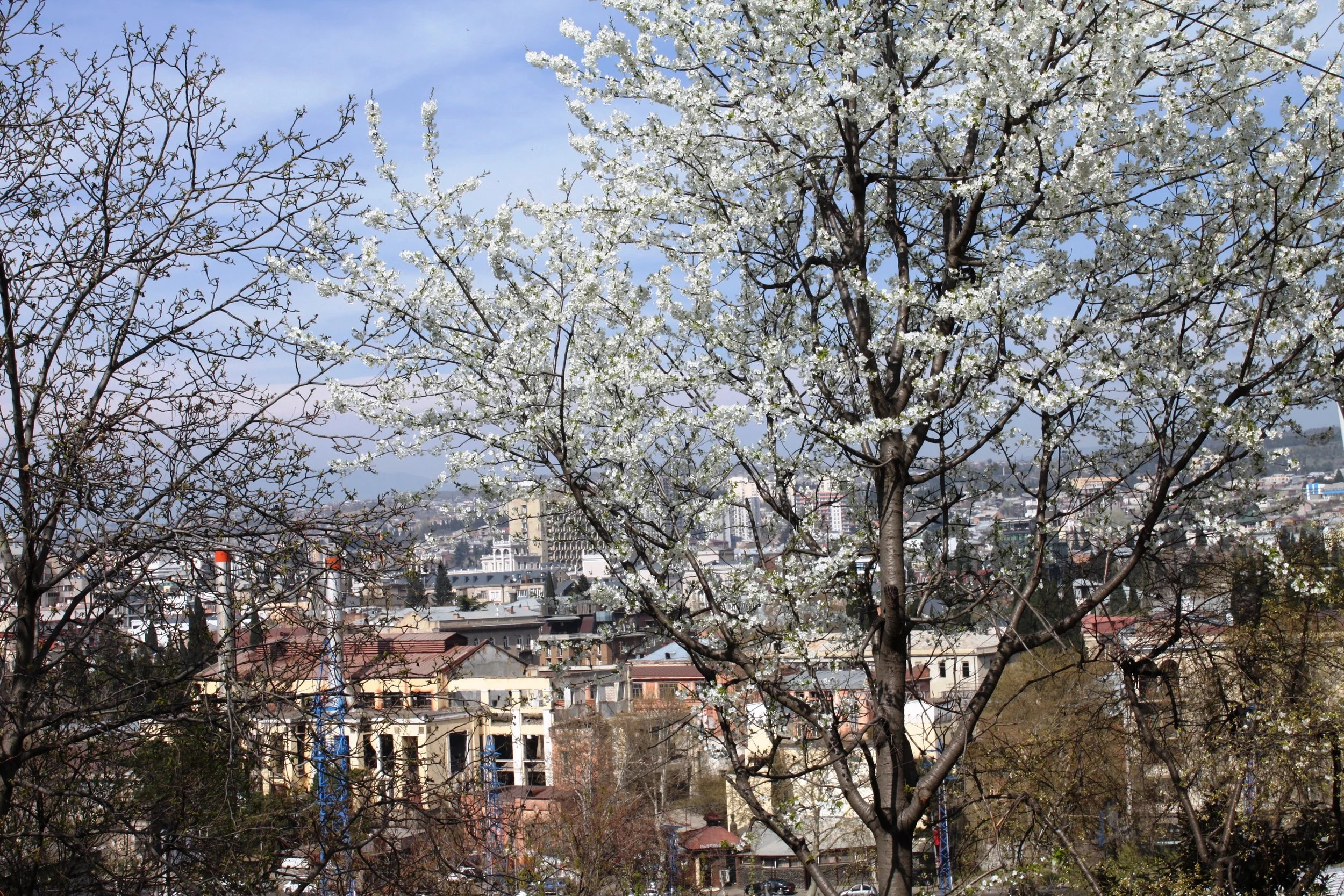 и еще несколько картинок