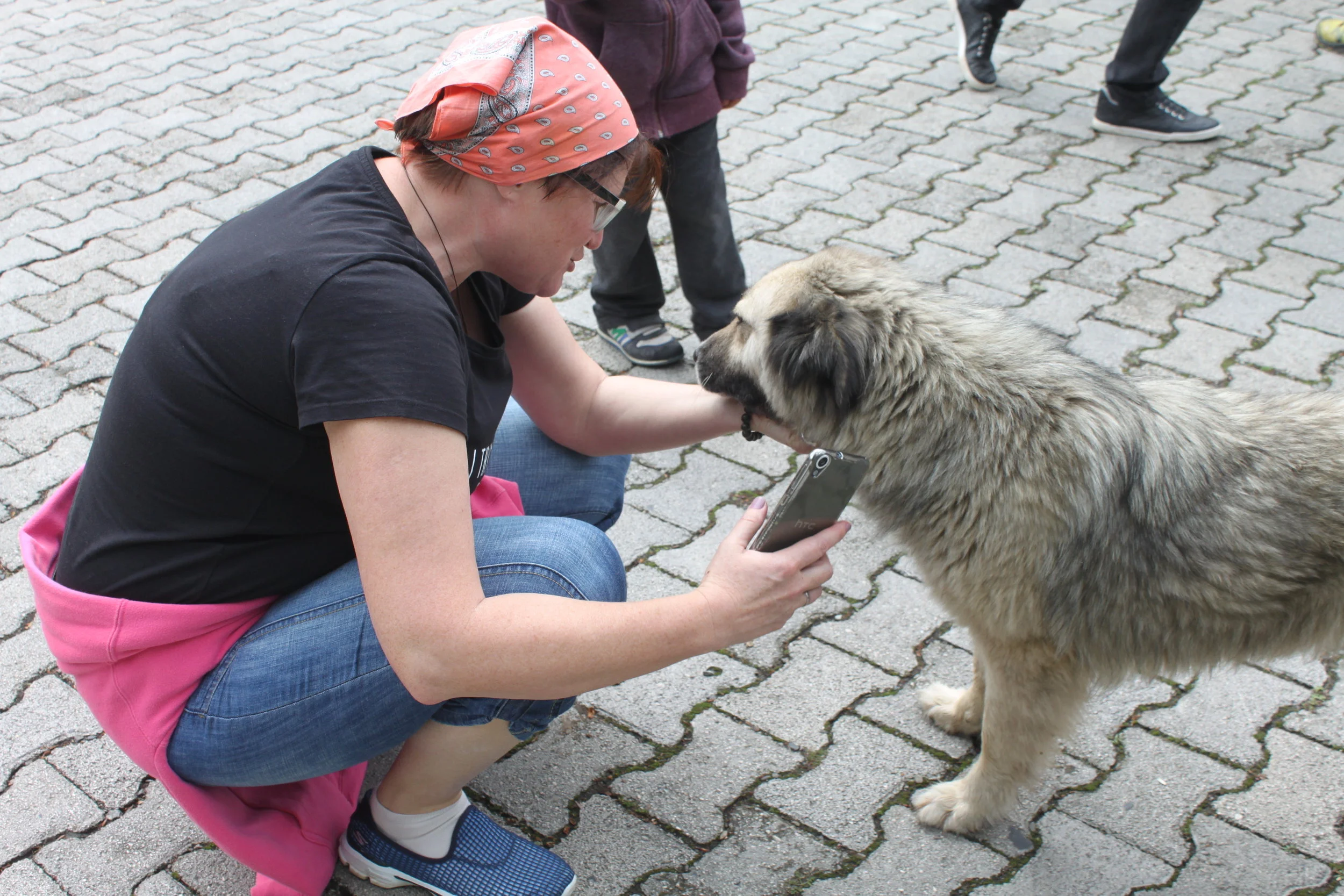 Наш воскресный вояж в Кахети