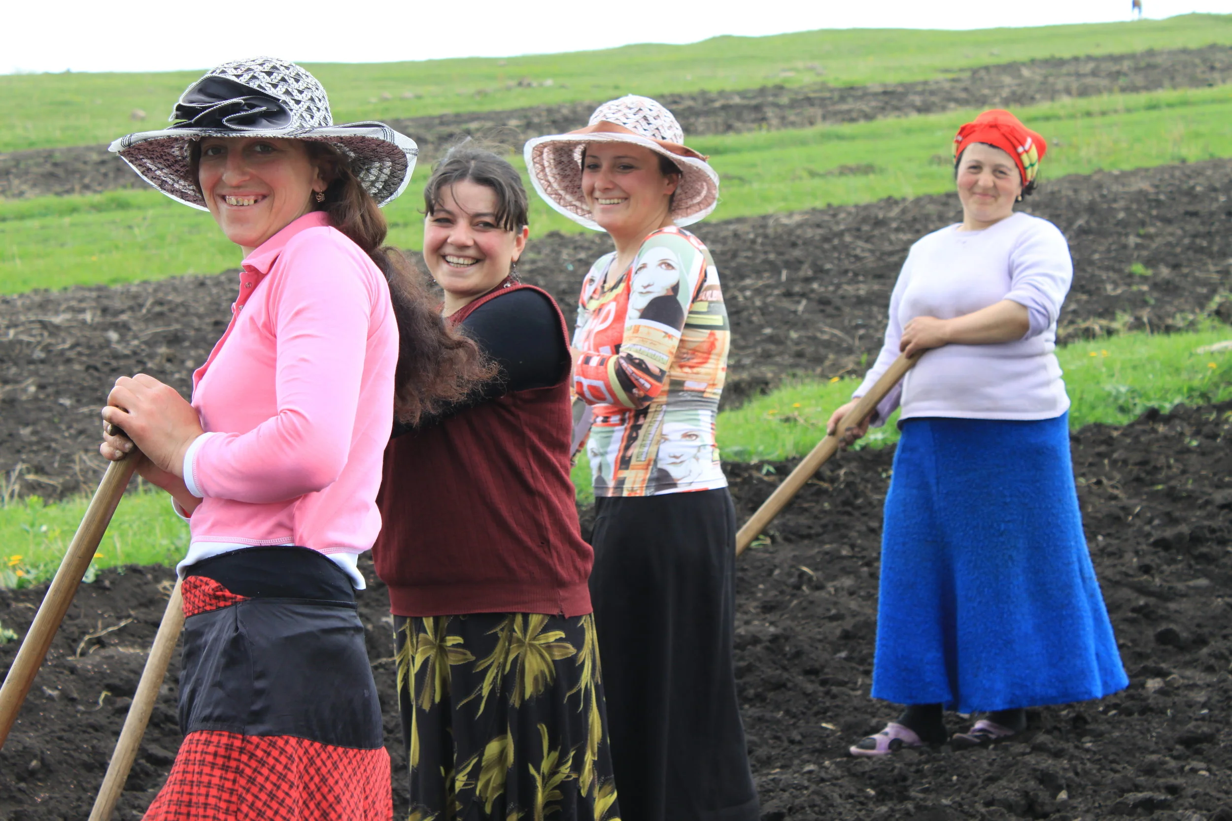 Леди картофельного поля