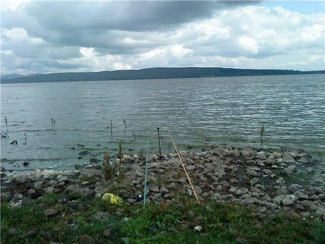 цалка море.jpg