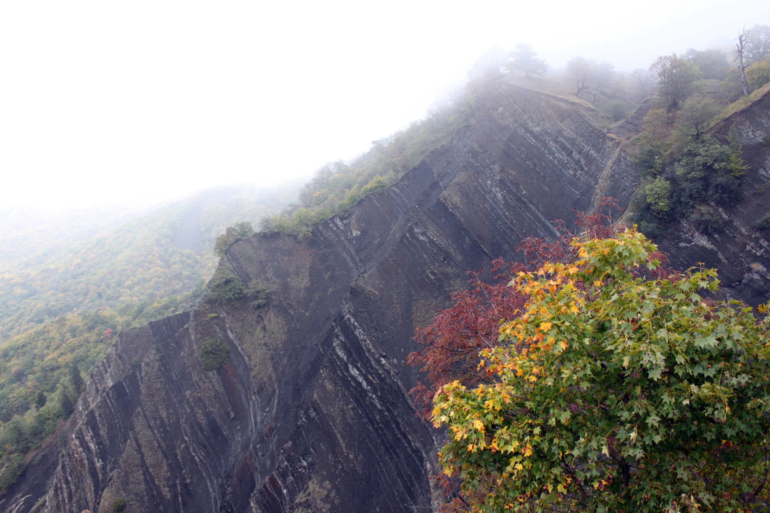Осень - рыжая подружка 