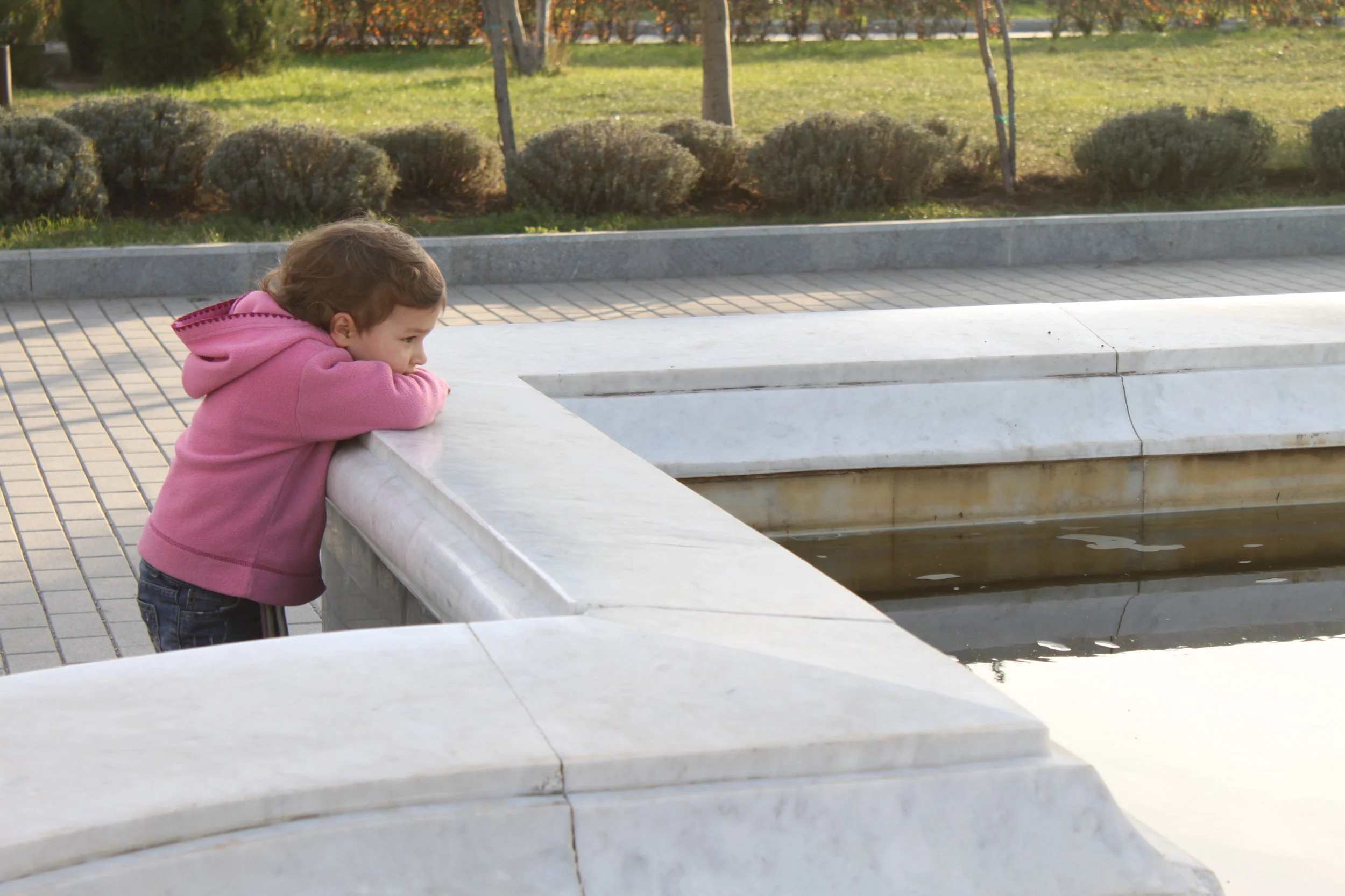 Мой друг Типук