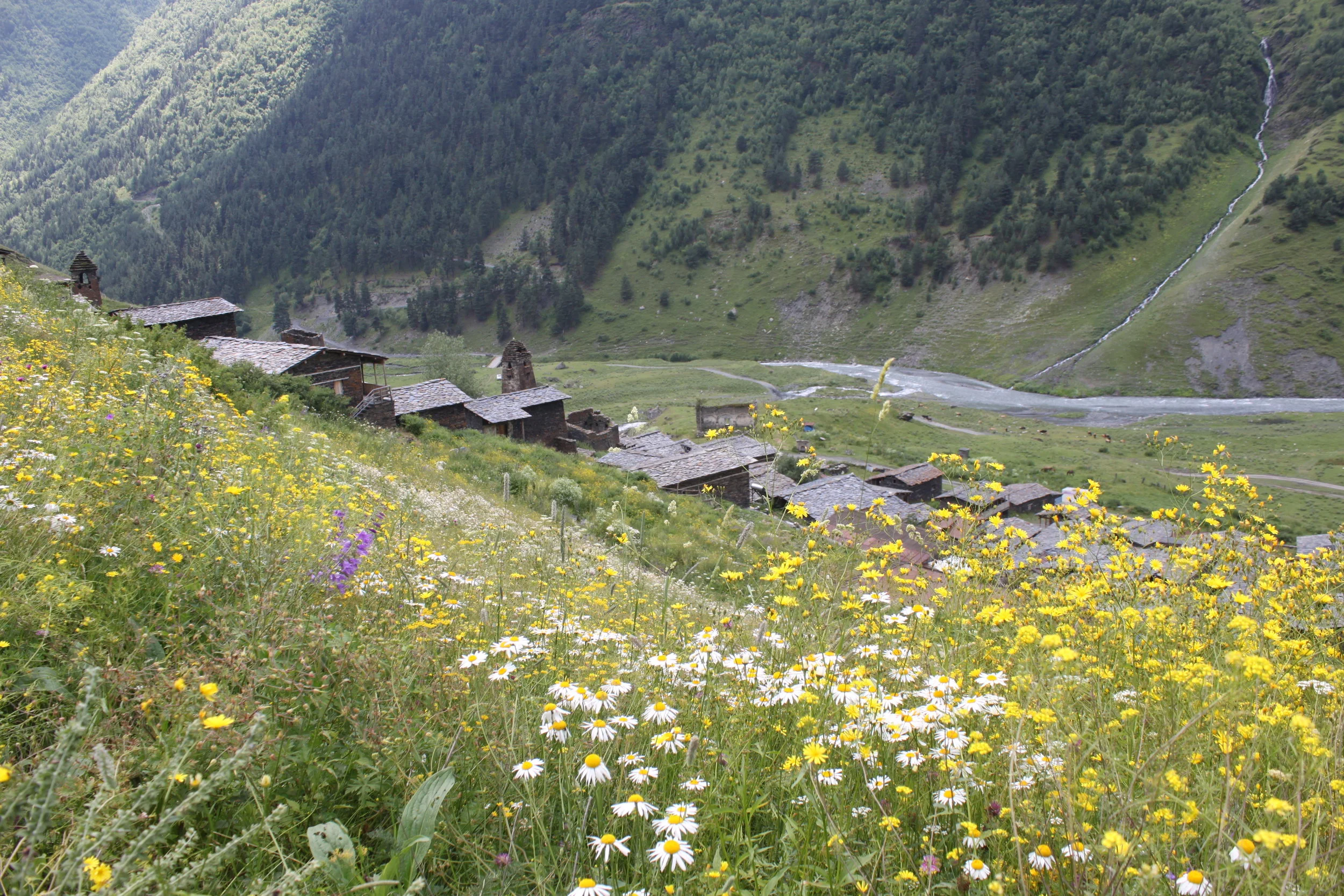 Где-то высоко в горах