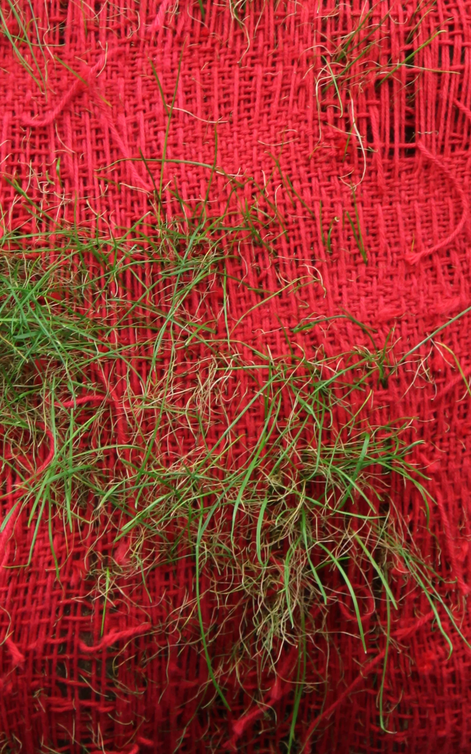 detail: Variations on Change