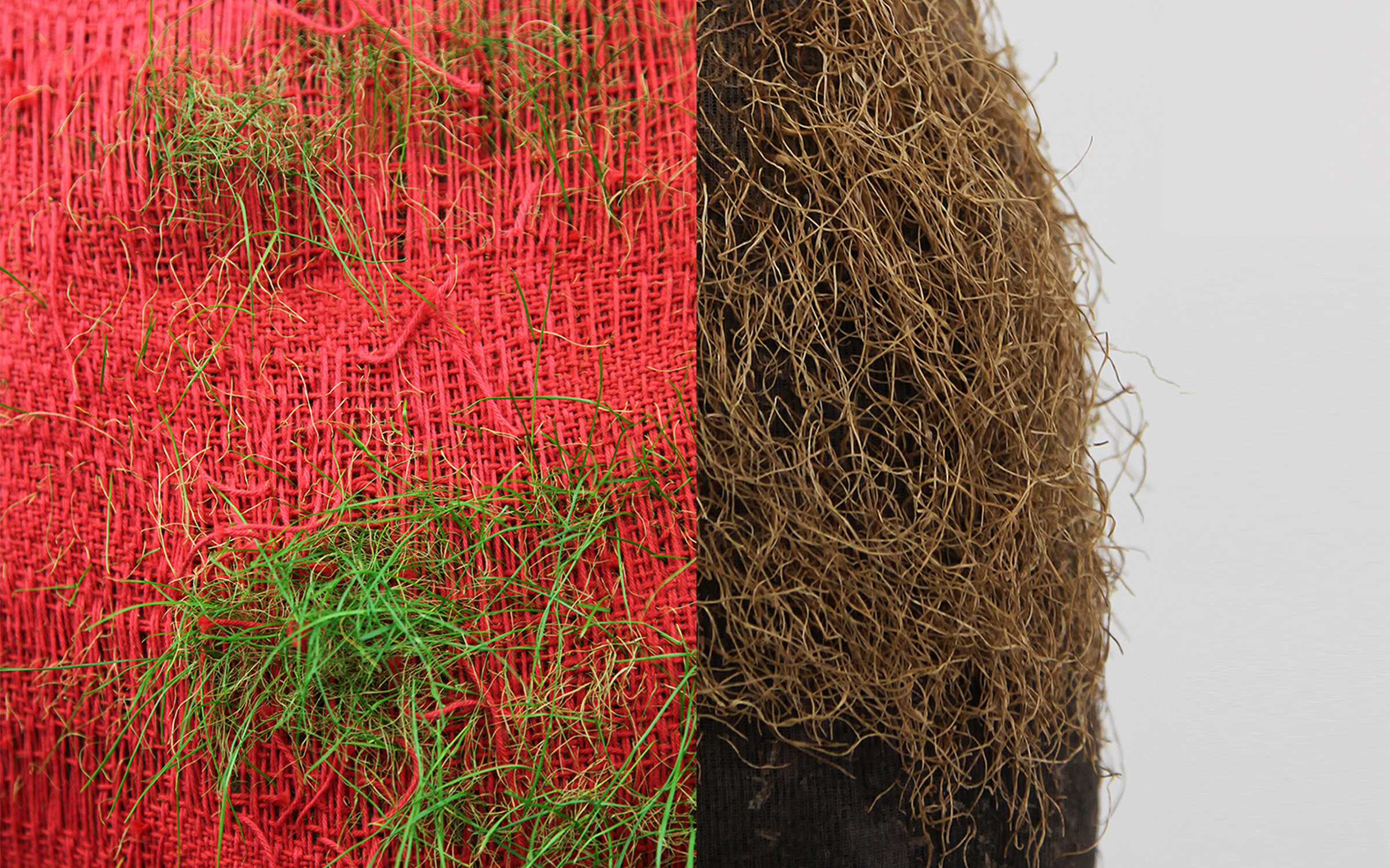Artist Statement Excerpt: " A Transformative Home presents planted life as a surrogate for human form through photography, sculpture, textiles, drawing, and installation. Placing anthropomorphic piles of dirt and seed in the visual landscape is a way for me to engage in a conversation about the life and the temporary environments we create, occupy, and share with other living things.” 