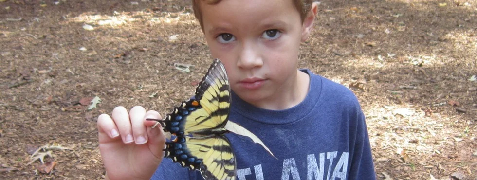 Charliebutterfly_980_370.jpg