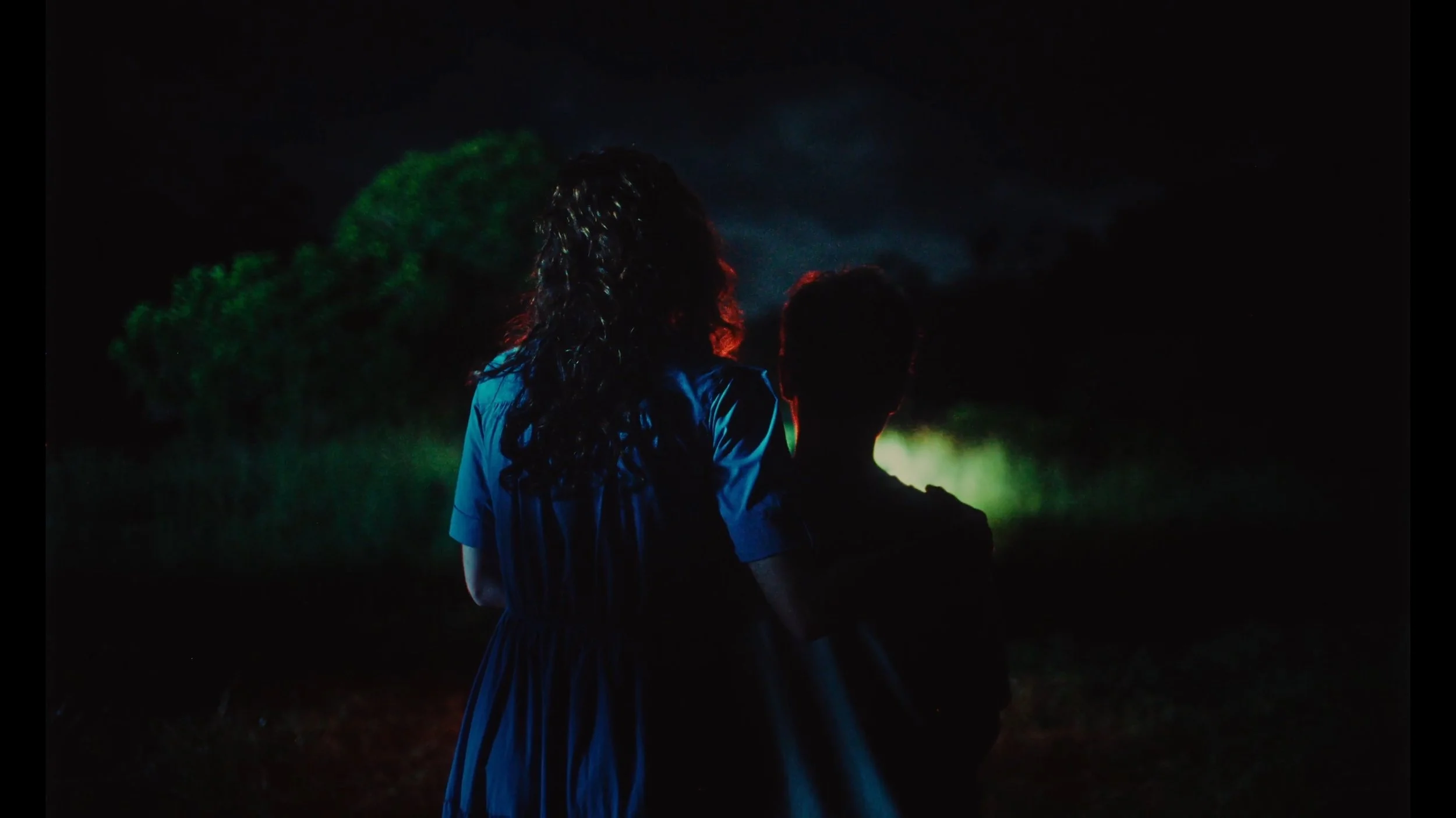 Sequence 01.00_04_59_18.Still015.jpeg