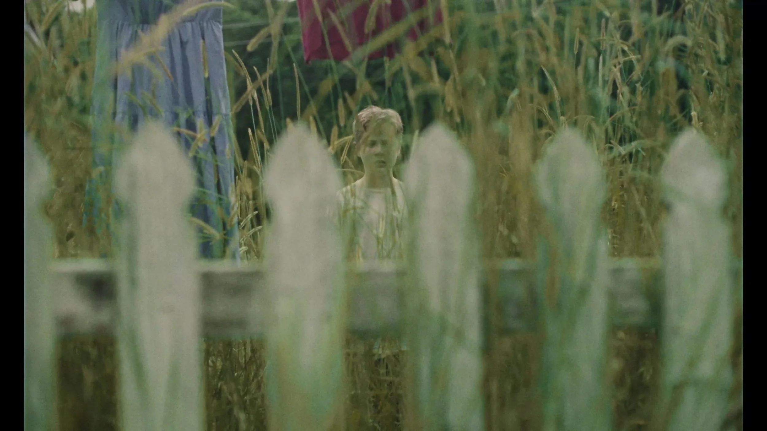 Sequence 01.00_18_36_03.Still101.jpeg