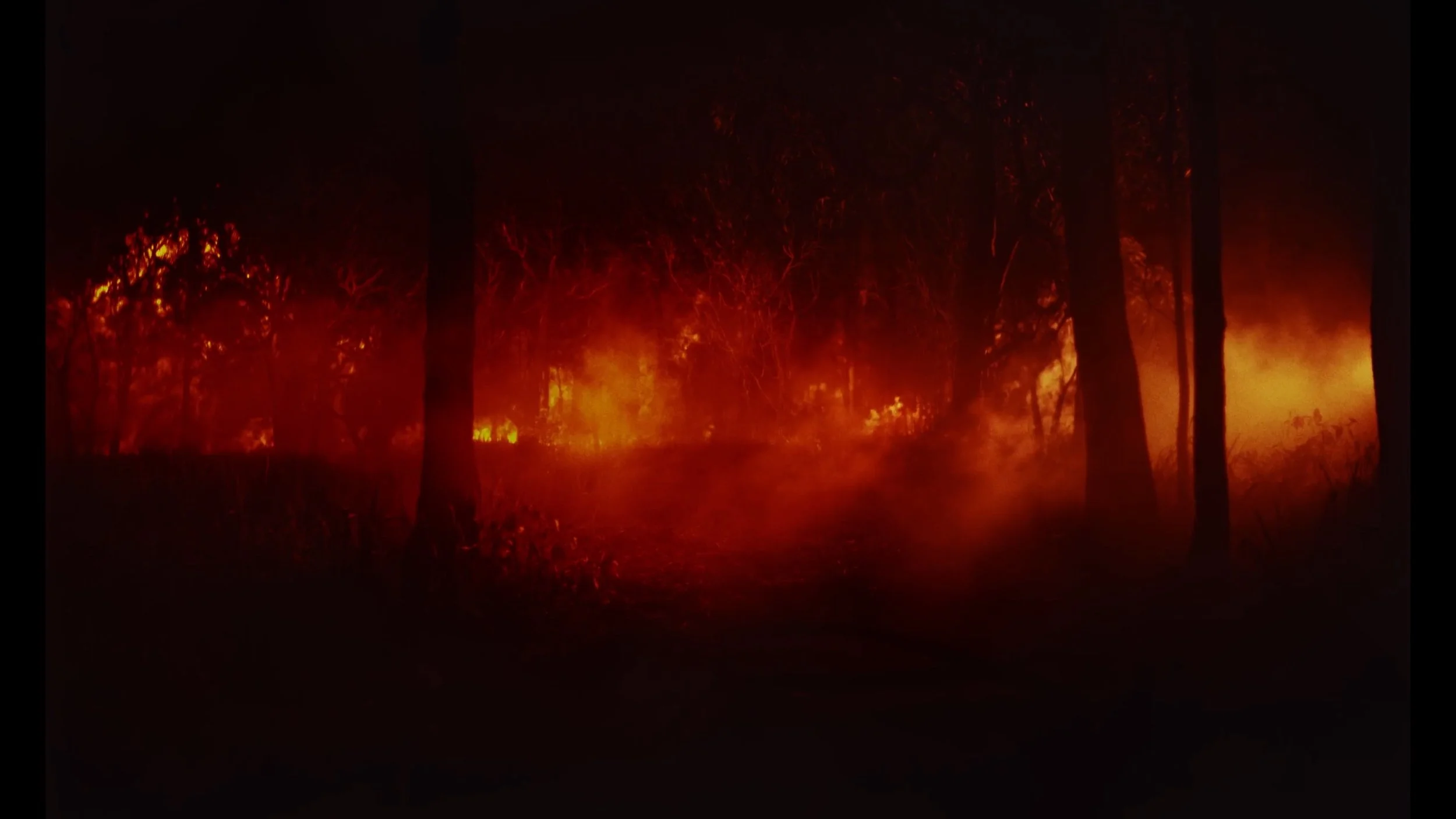 Sequence 02.01_11_24_20.Still073.jpeg