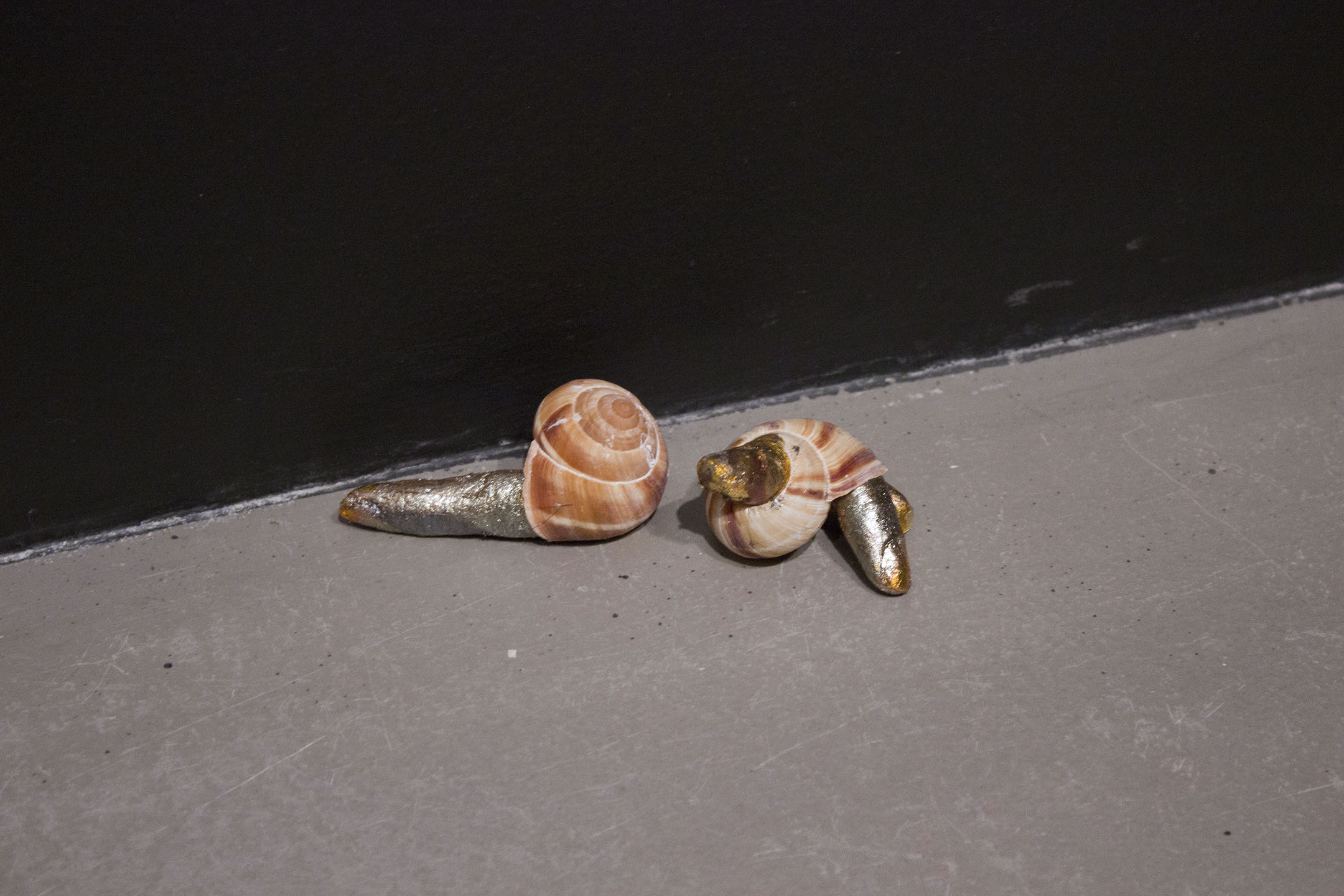 Jansen_MolluscMucusMemberMuch_04_2013_forweb.jpg