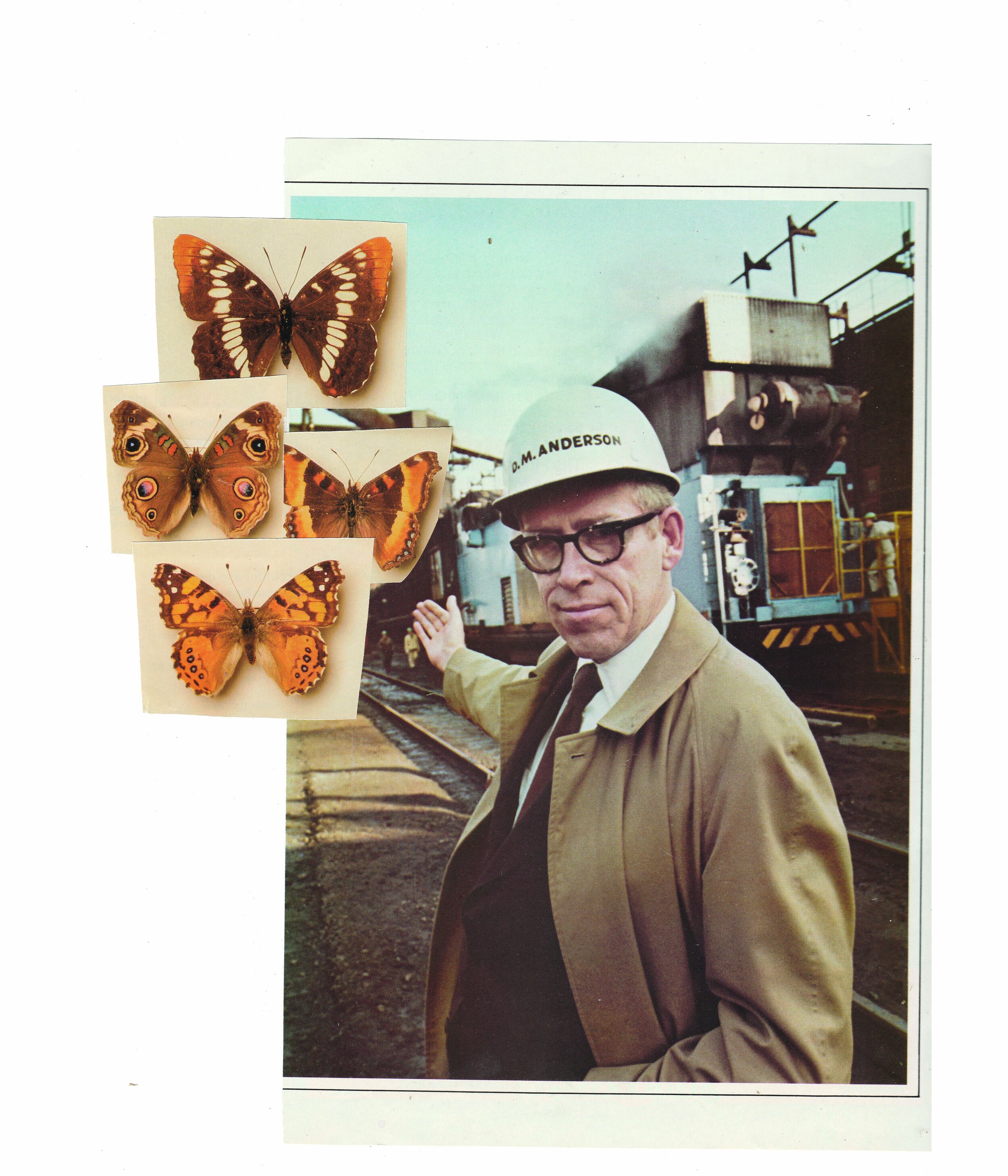 EJansen_Collage_MuseumofCoalandLepidopterology_2021_12x14_smaller.jpg