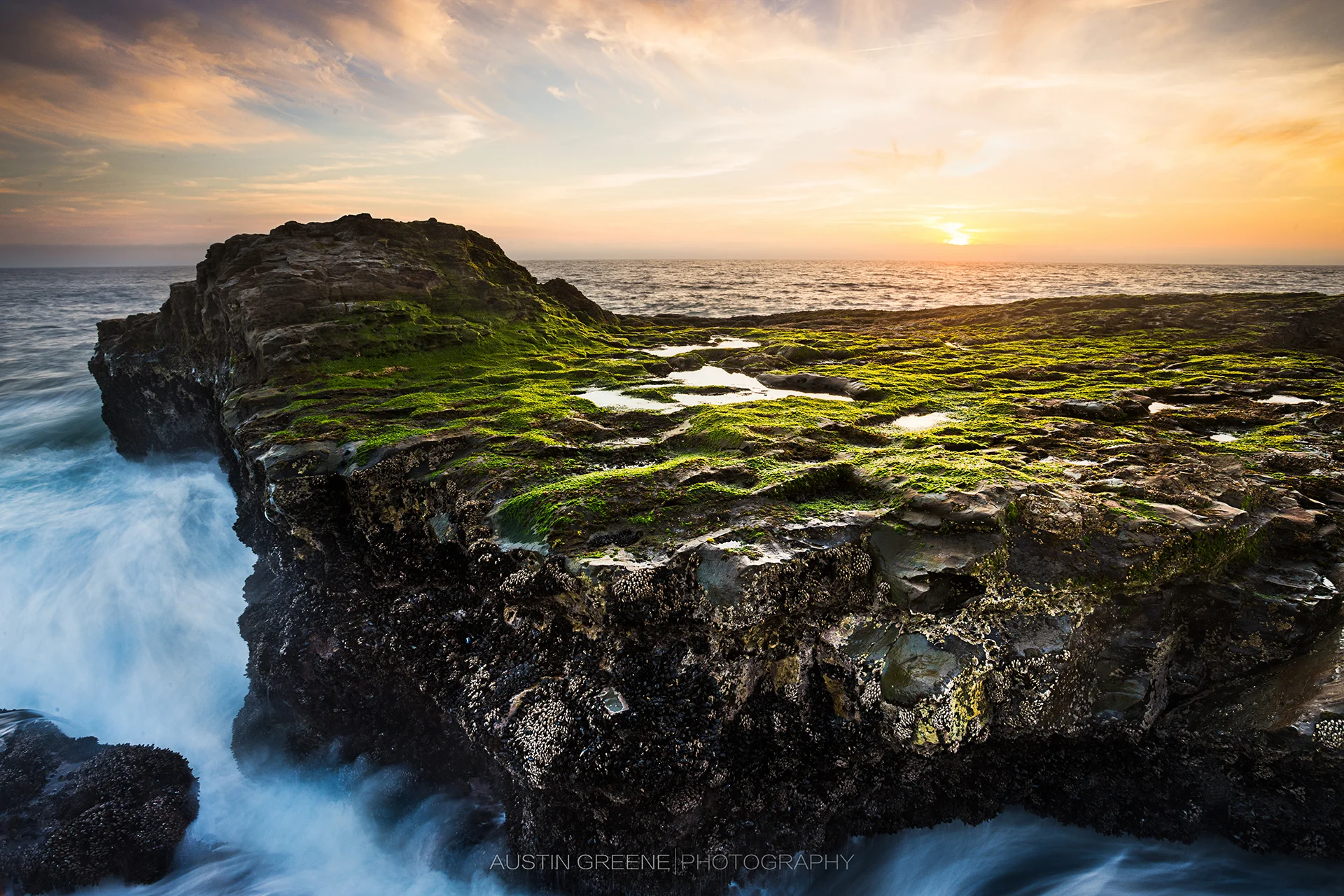 IMG_6374-Edit-W_smalls.jpg