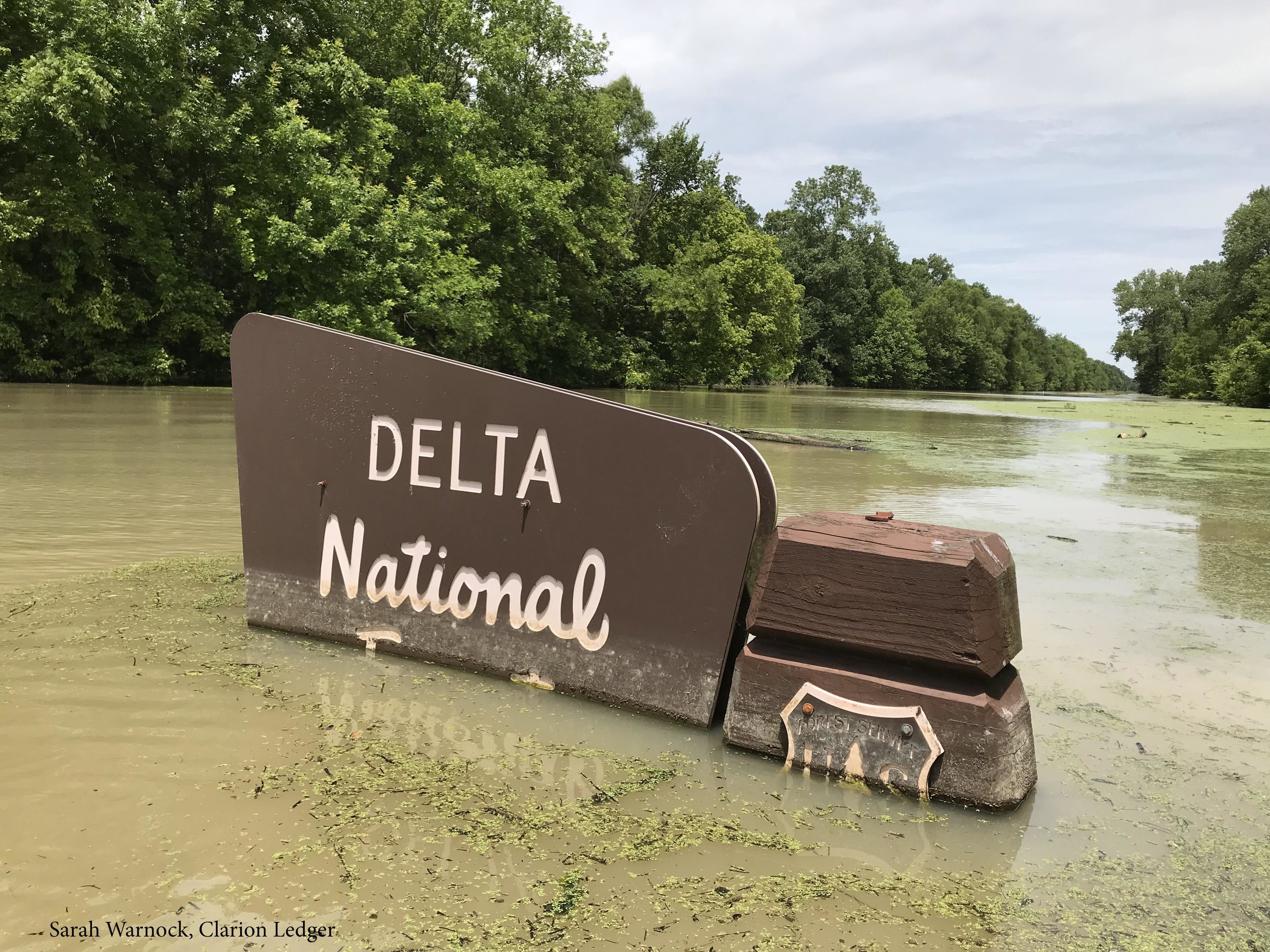 A highway marker for the Delta National Forest in Holly Bluff, Mississippi is covered by the backwater flooding that has been drowning infrastructure, forests and farmland of the southern delta region for much of this year. Tuesday, June 12, 2019 Sa