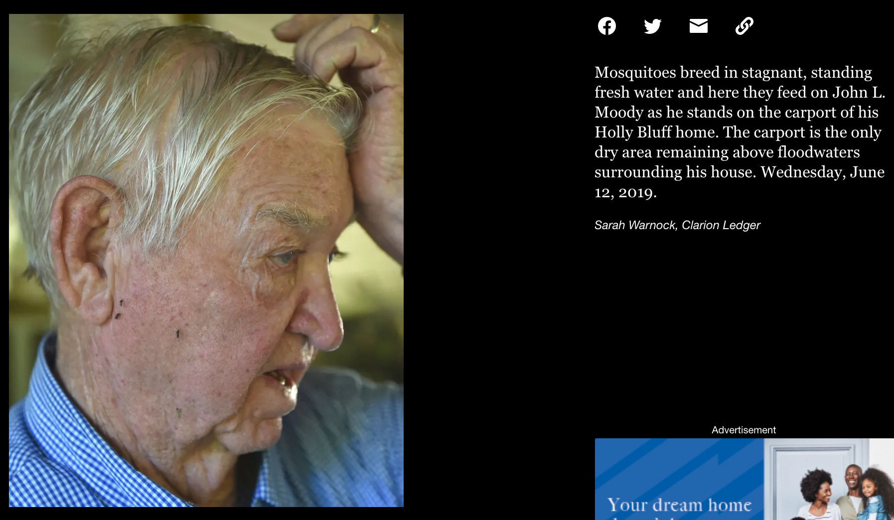 Screen Shot 2020-11-12 at 5.31.18 PM.png