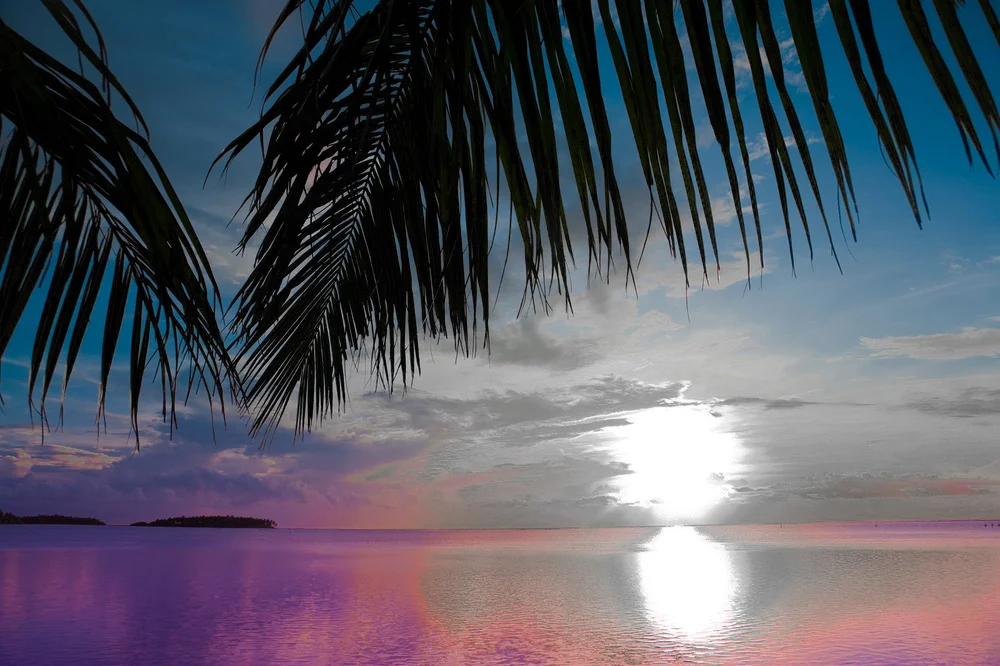 shutterstock_6621534111A.jpg