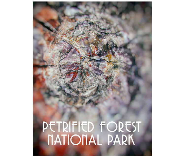 KyleHanson_CreativeBoulevards_PetrifiedForest_cover thumbnail.jpg