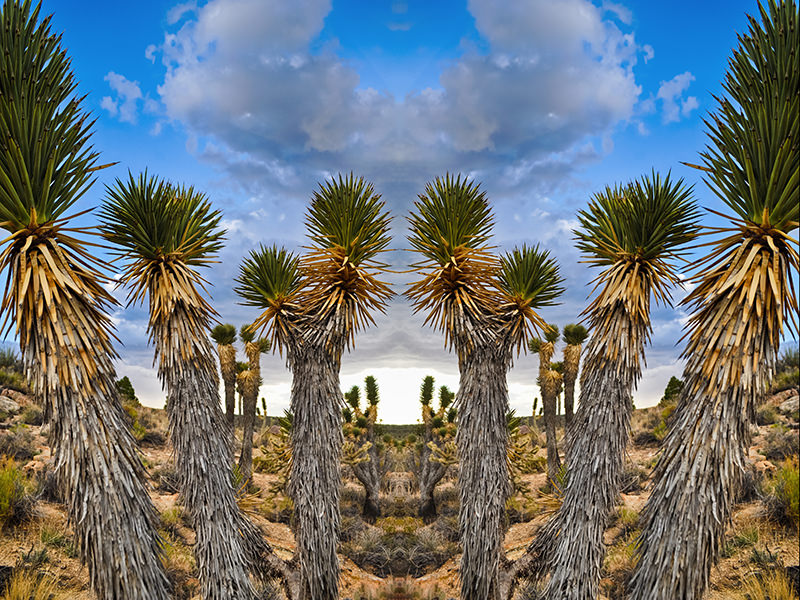 Kyle_Hanson_Creative_Boulevards_National_Park_Mirrors_DSC_0524 2.jpg