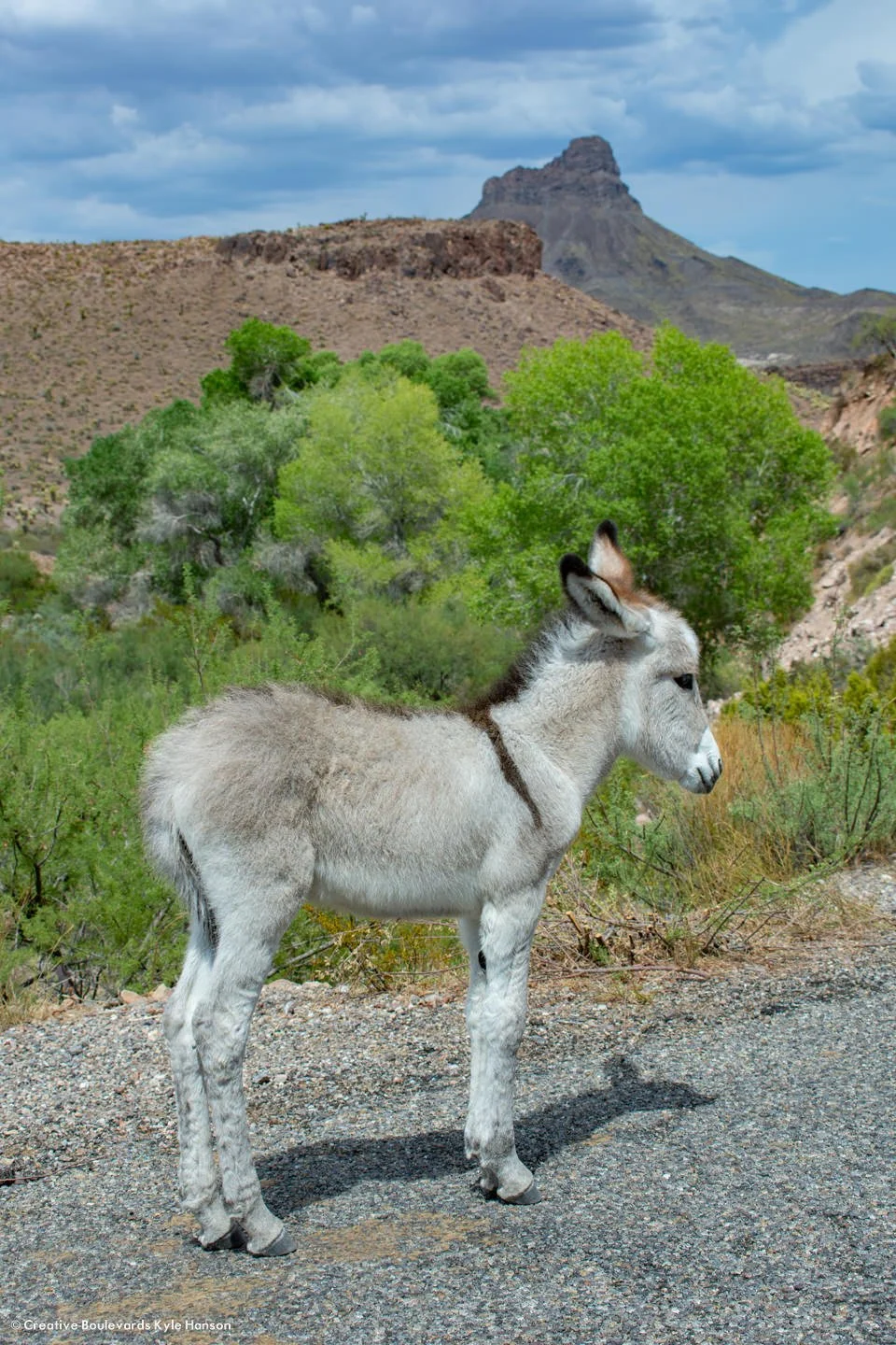  KyleHanson_CreativeBoulevards_Route66_DSC_5565-Web 2024 3-2.jpg