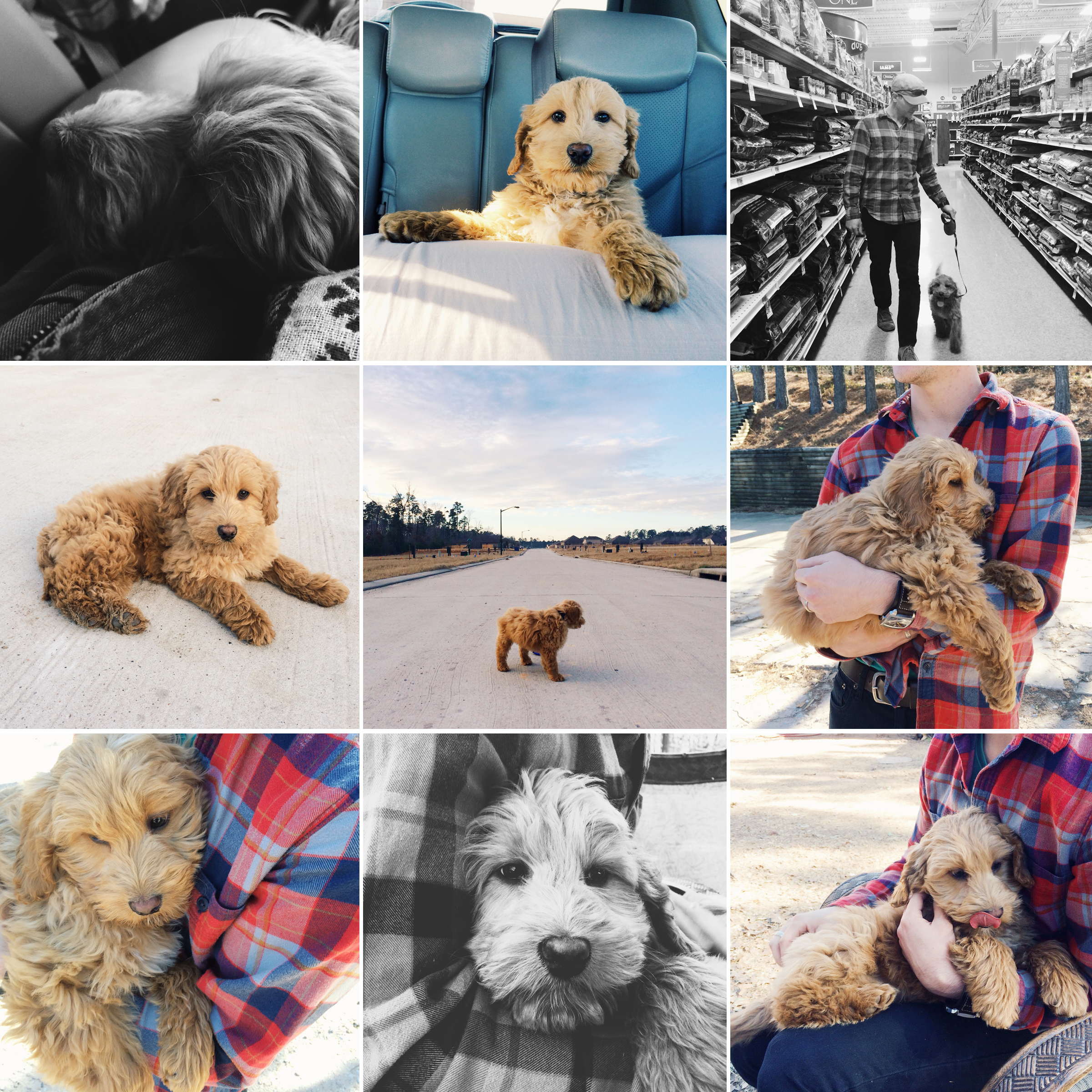 iPhone photos edited with VSCO