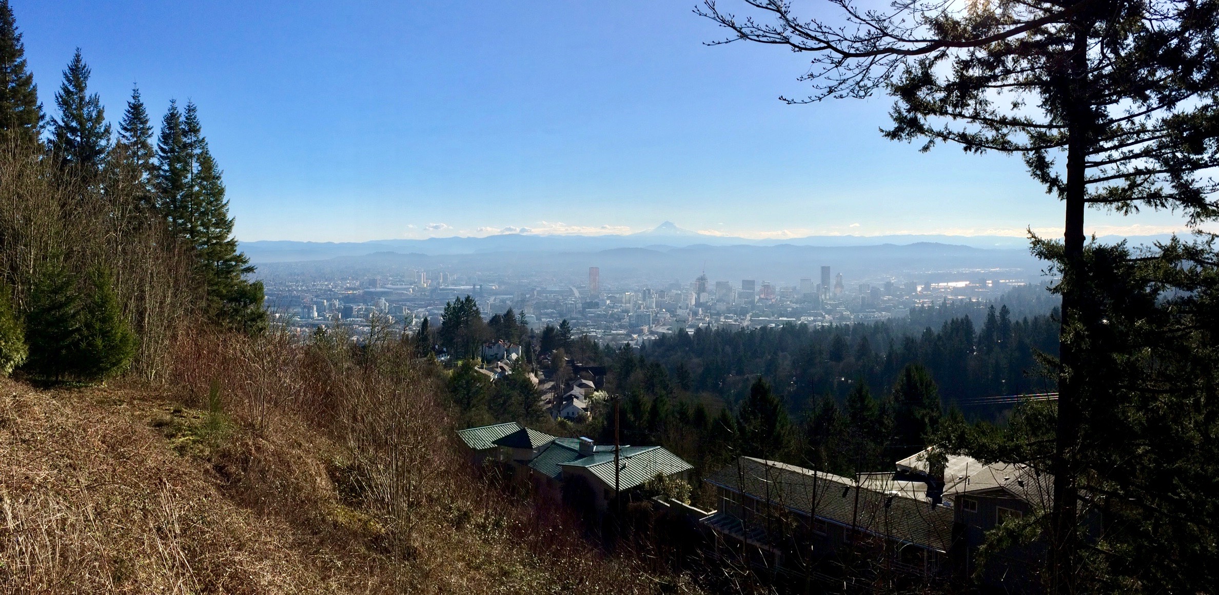 The view from Pittock Mansion. This was not yesterday. It was raining yesterday. 