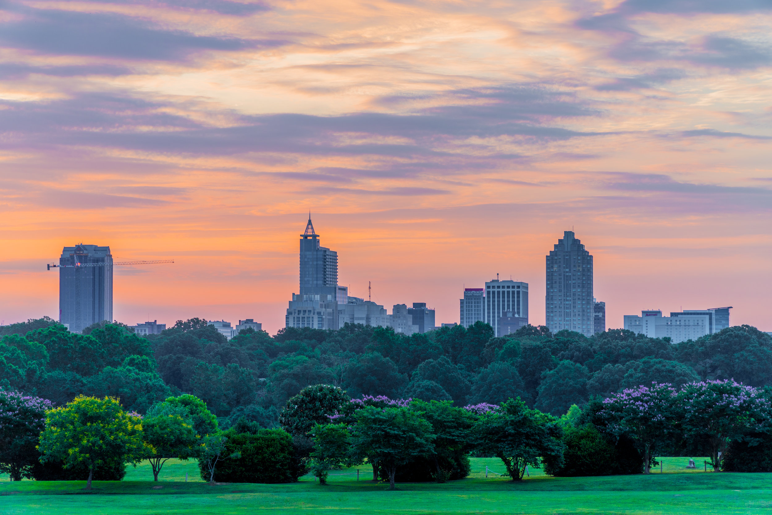 dix-skyline-08149.jpg