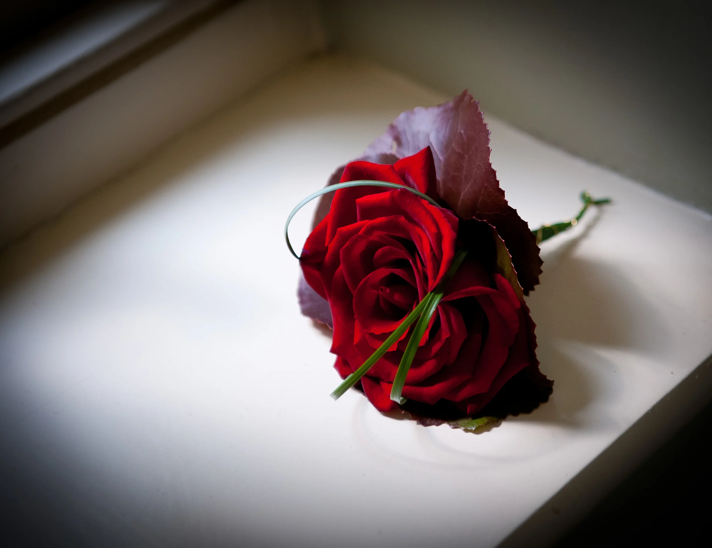 Red Rose Buttonhole.jpg