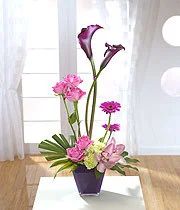Bossa Nova - Calla lily, roses and orchids from E57.95.jpg