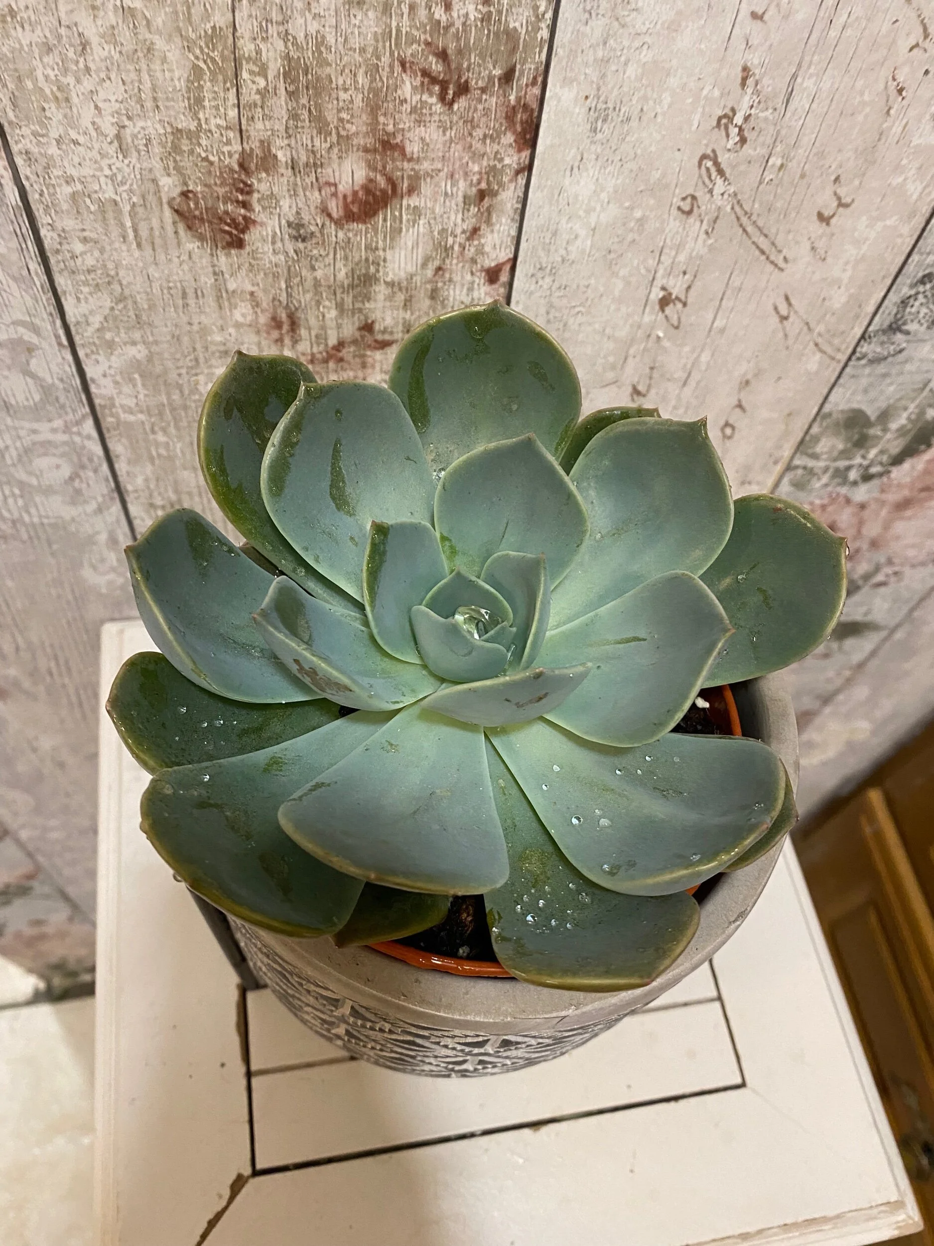 23768874-997D-41C4-A551-D811D299051C