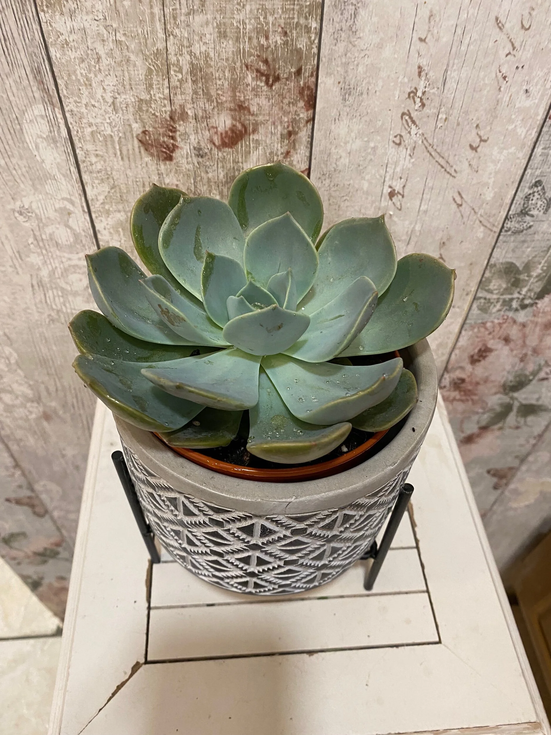 FBF7130F-7CFD-4ACC-AB40-DA098FE05CD3