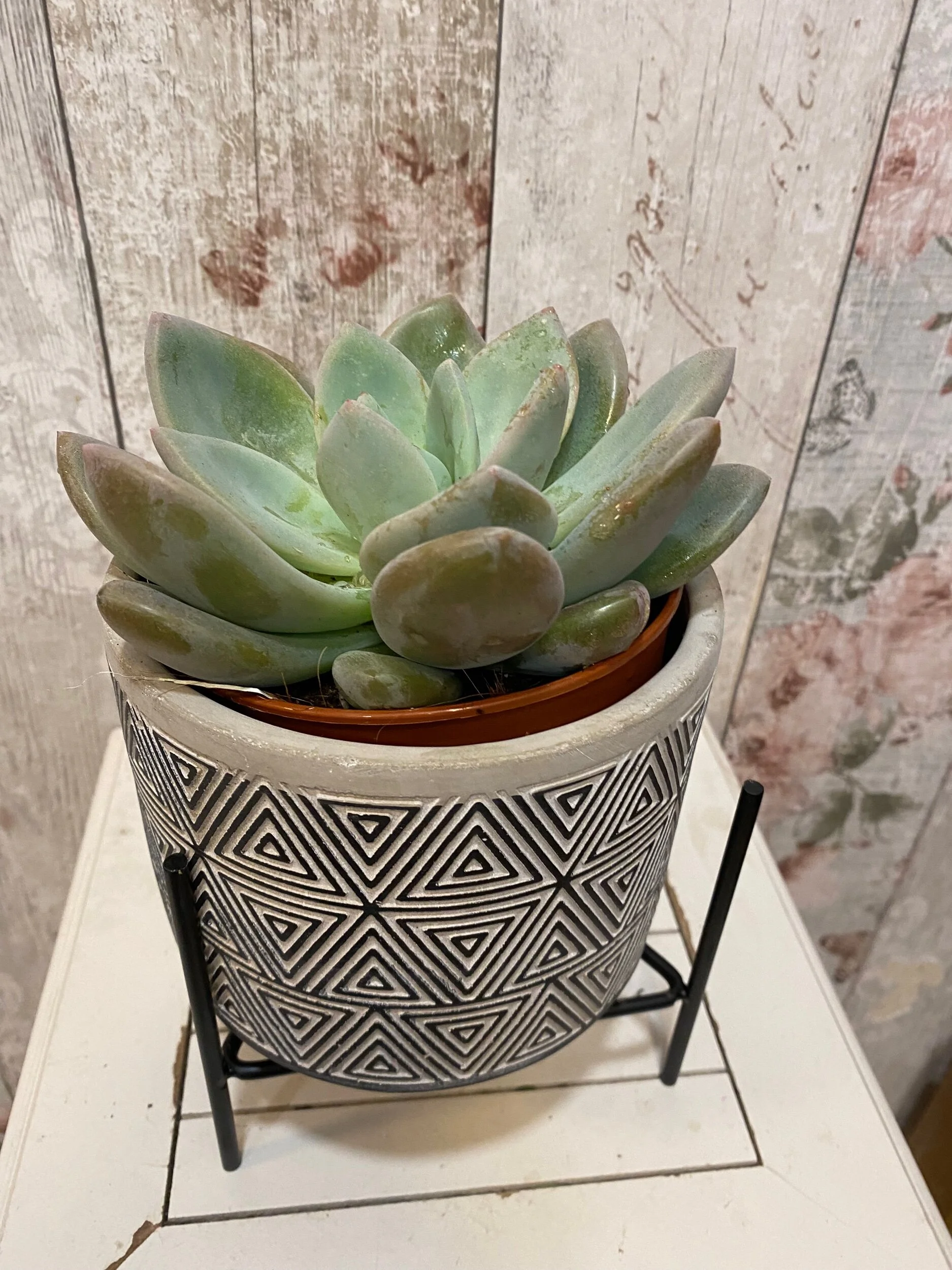 2C5BA1FA-97A2-49B5-984C-3883F38E6FBA