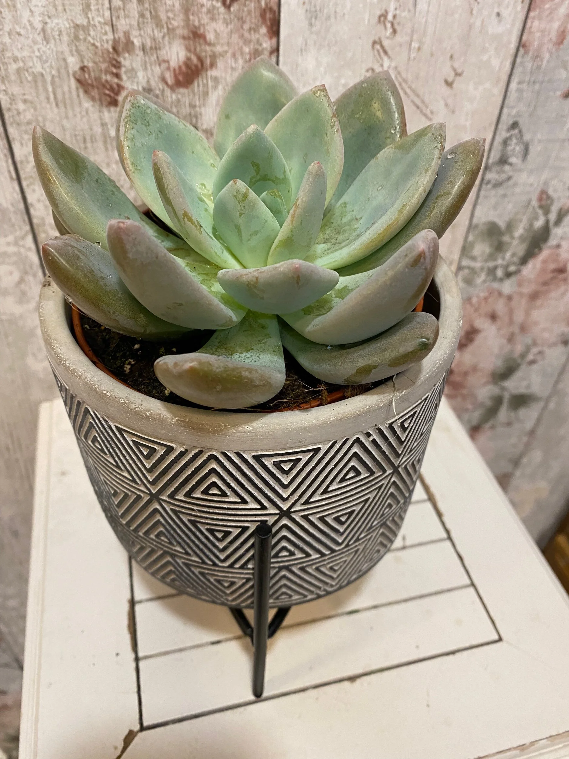 46A2A88A-B6AD-4CA3-AE09-18FEDD3EAD55