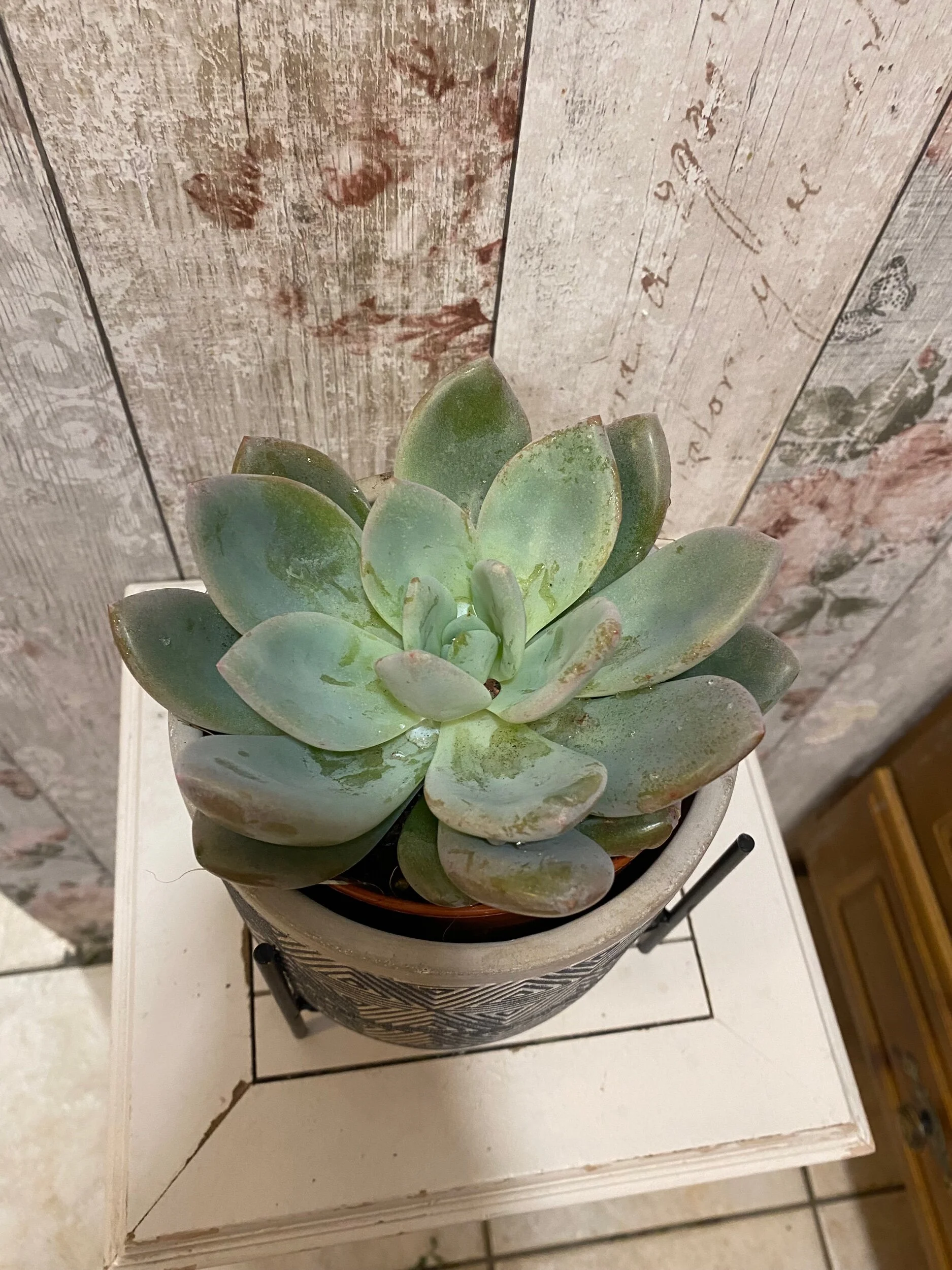 8CD289A1-5892-4F68-9B58-71CC466D97B1