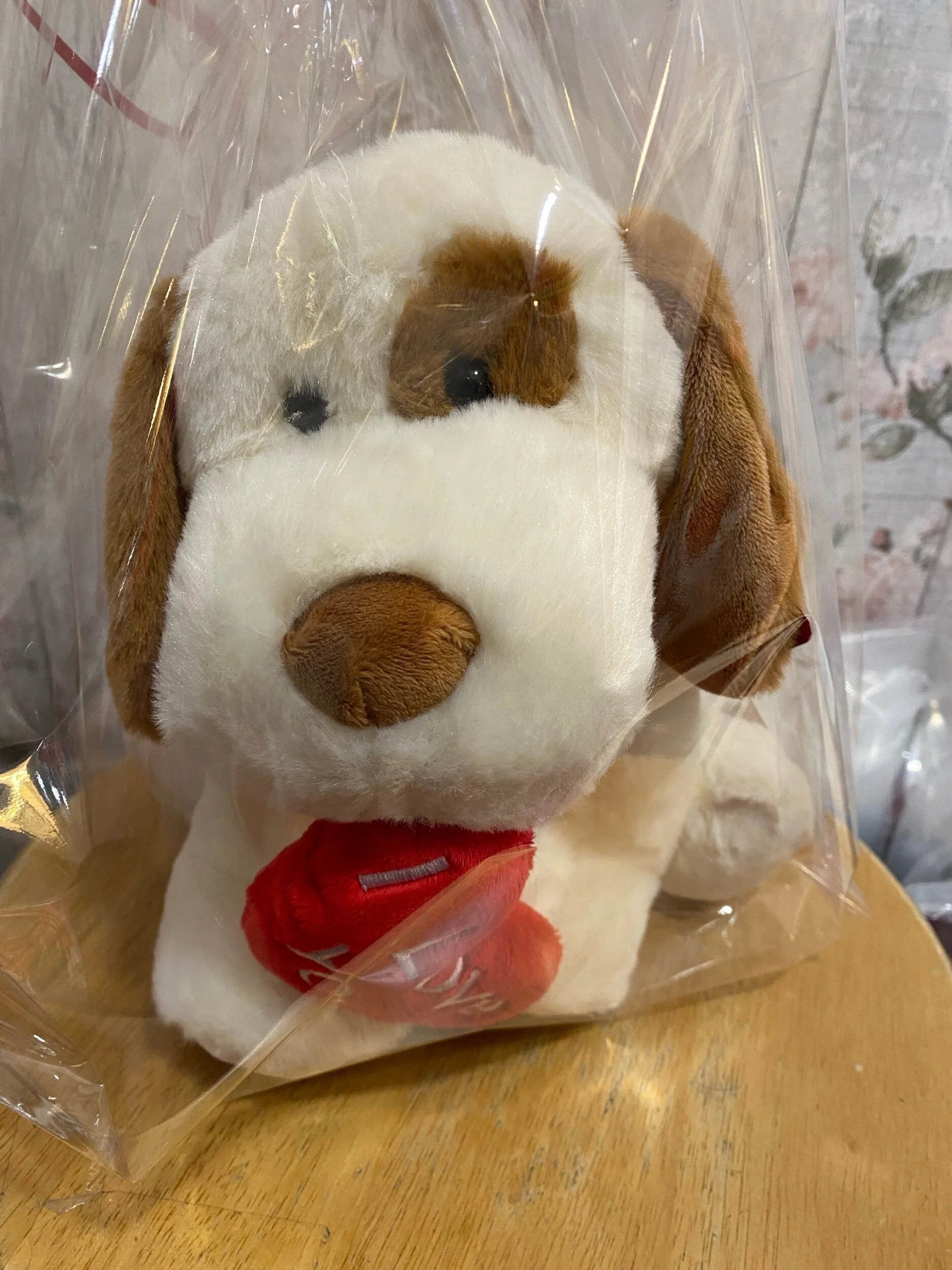 50159181-CBA6-41CB-851C-E126FCF371DE