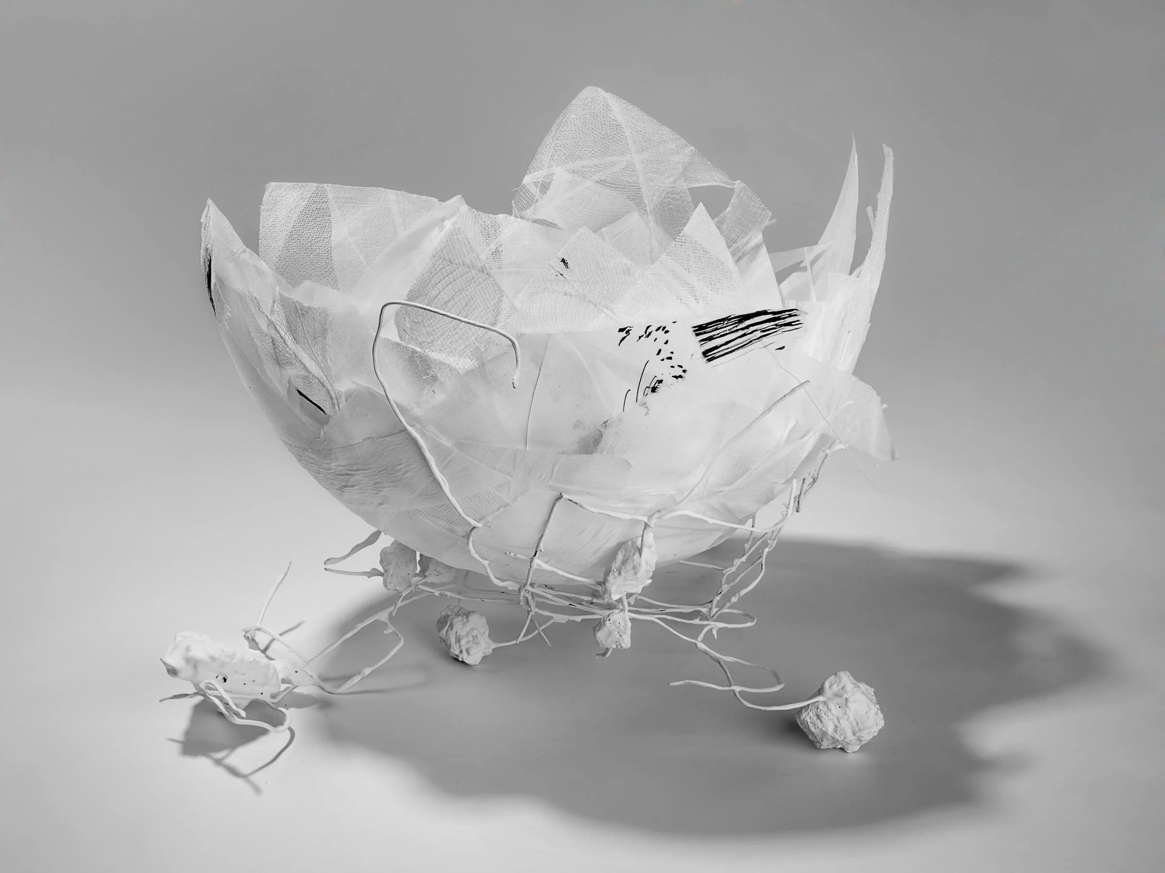 SUSAN ANDREWS GRACE  
ARTIST  &  POET