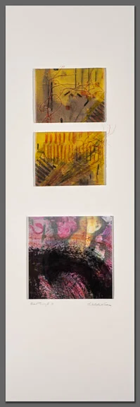 Read Through 1: Screen-printed silk organza over vellum drawing, methylcellulose mixture, 3 panels on matboard, 30” x 10” 