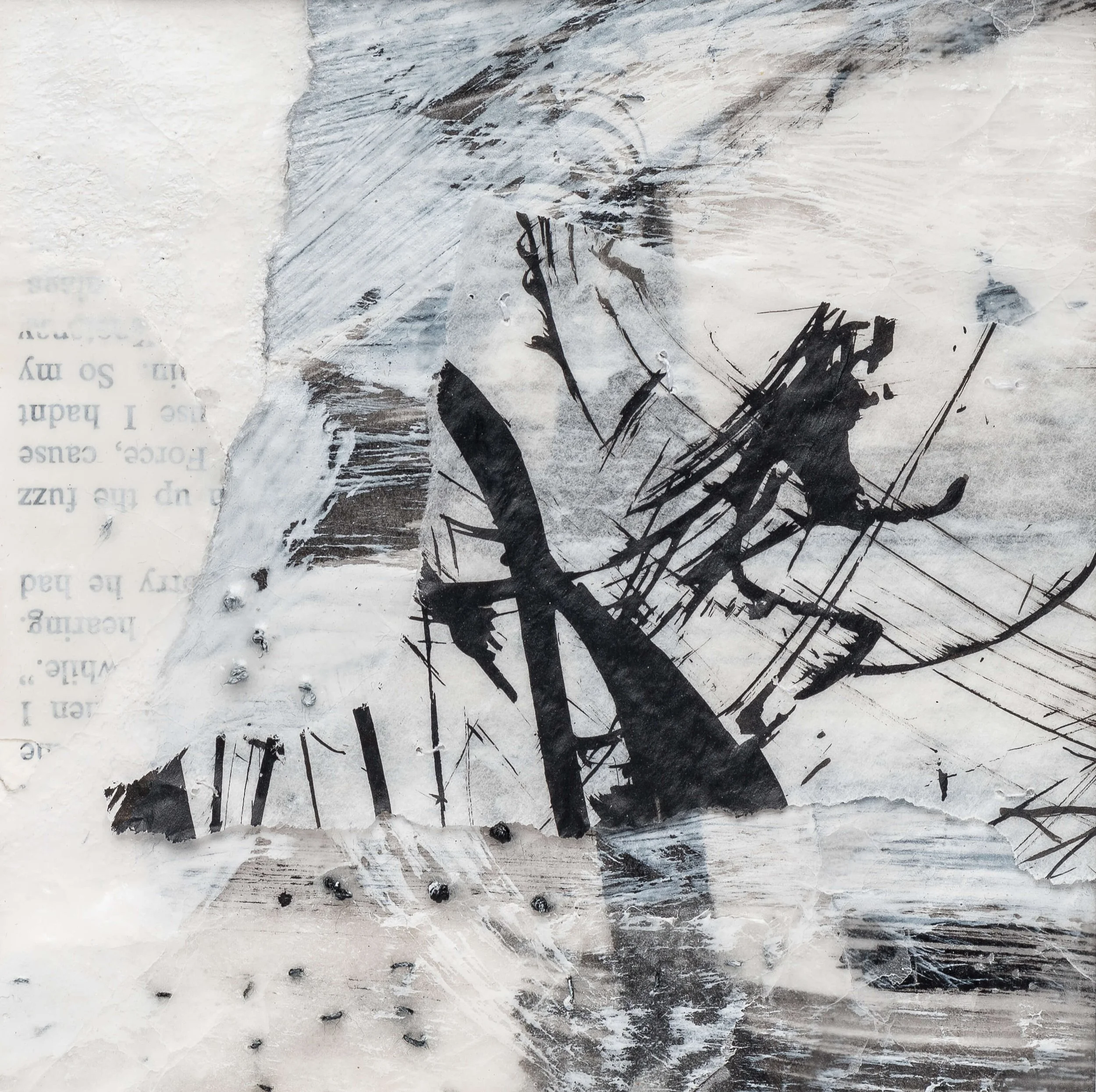 SUSAN ANDREWS GRACE  
ARTIST  &  POET