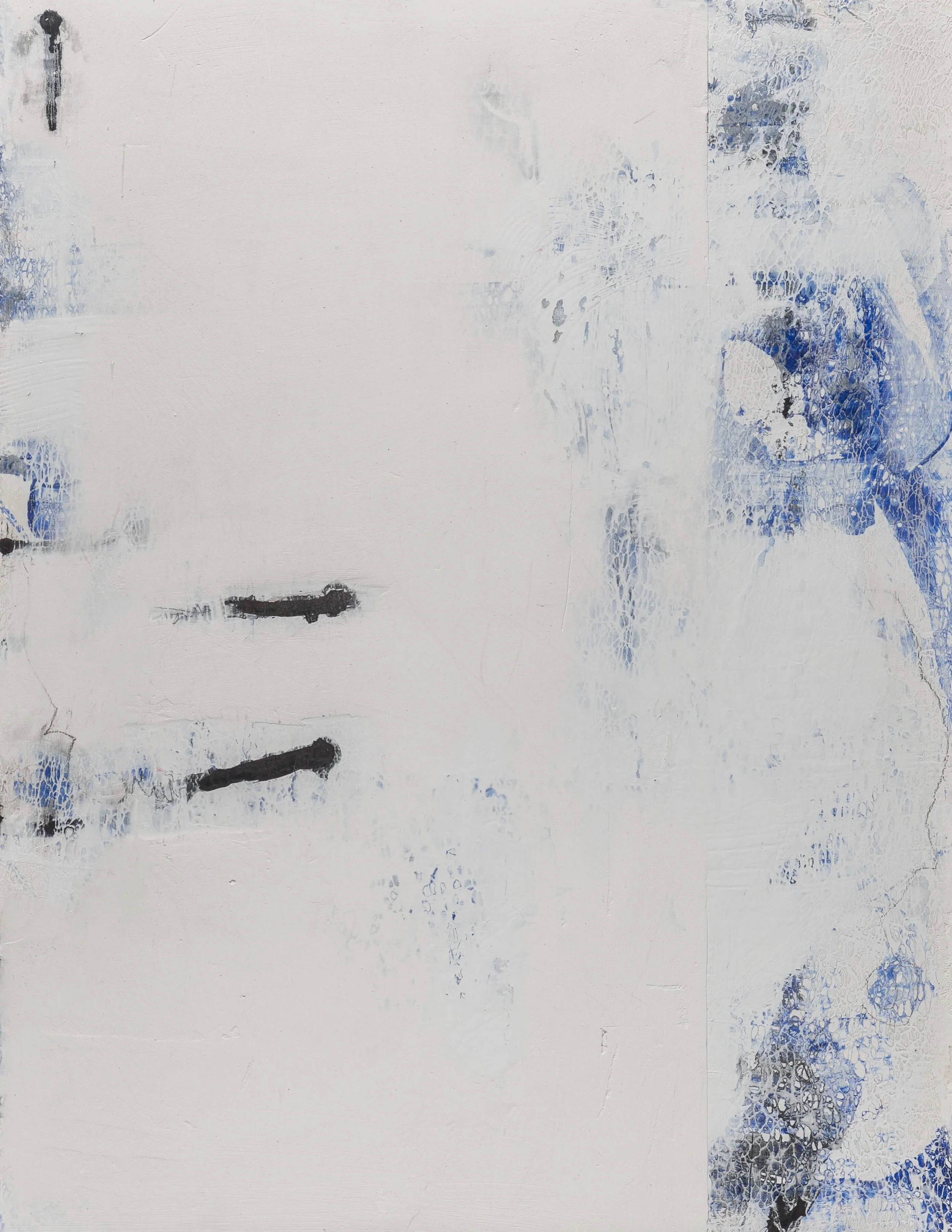 SUSAN ANDREWS GRACE  
ARTIST  &  POET