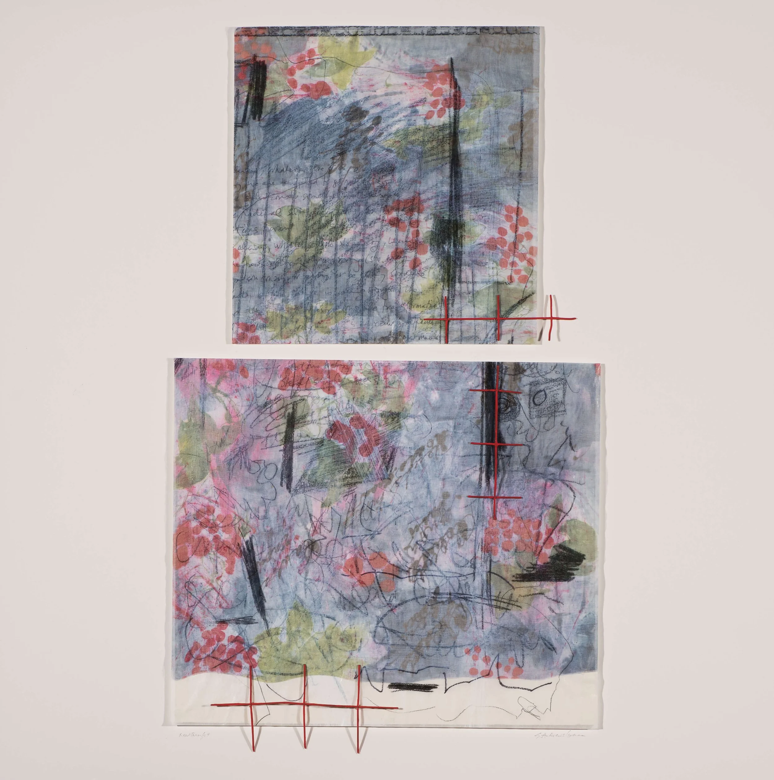 READ THROUGH 9: Screen-printed silk organza over vellum drawing, methylcellulose mixture, 2 panelson matboard, Flashé paint on wire fencing, 30” x 30,” (76.2 x 76.2 cm), 2015