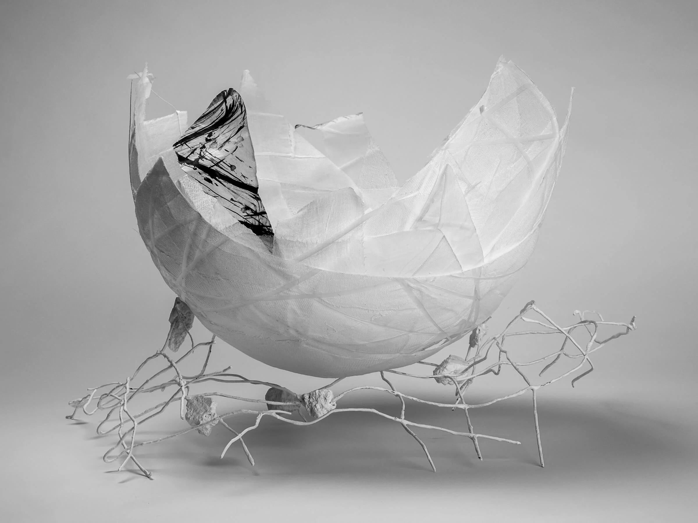 SUSAN ANDREWS GRACE  
ARTIST  &  POET