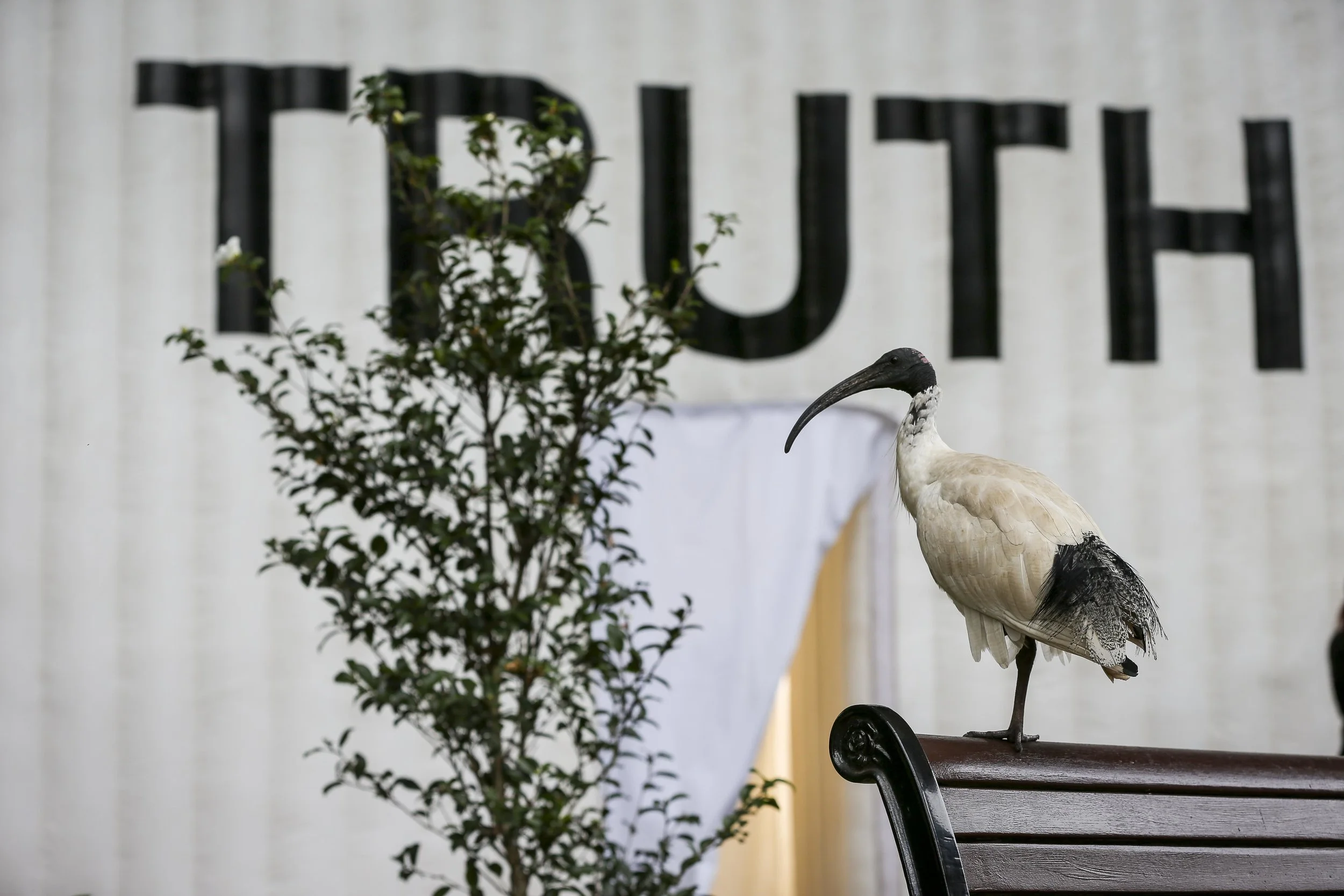 TruthBooth-lowres-7700.jpg