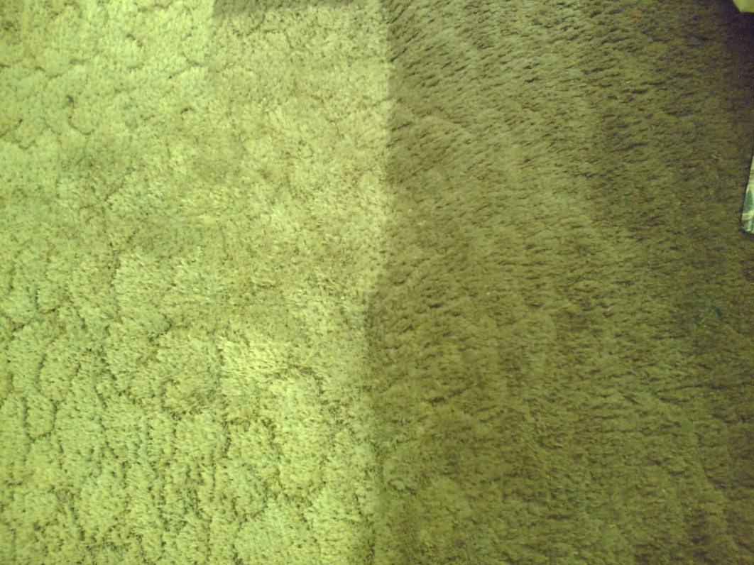 DEEP CLEAN YOUR CARPETS Your nose learns to block out re-occurring smells, which is why it's crucial to deep clean your carpets. The smells you are used to, especially if you have pets, will be very obvious to visitors and are potential turnoffs. To eliminate odors, it's best to work with a professional carpet cleaning company, but renting a cleaner and doing it yourself can still be effective.