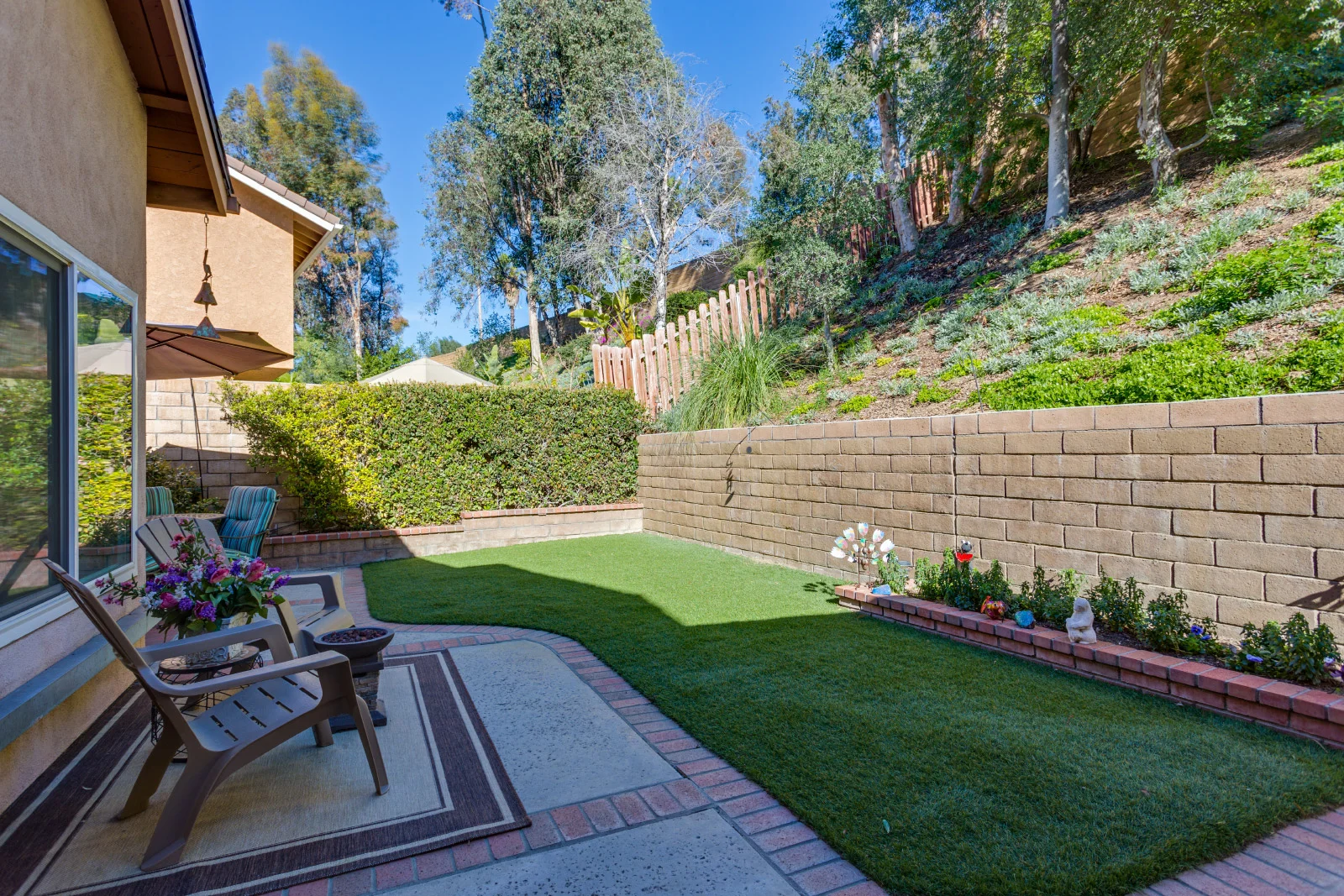 backyard.jpg