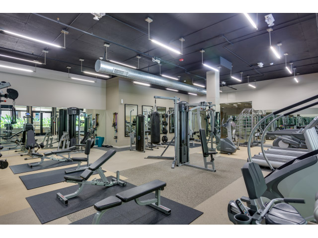 gym_18651023129_o.jpg