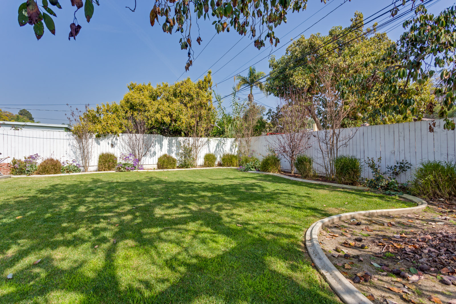 backyard-grass_16580733728_o.jpg
