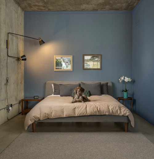 Marley in her very own Temple Loft, Unit 519. This 1,785 sq. ft. loft was listed and sold by The …