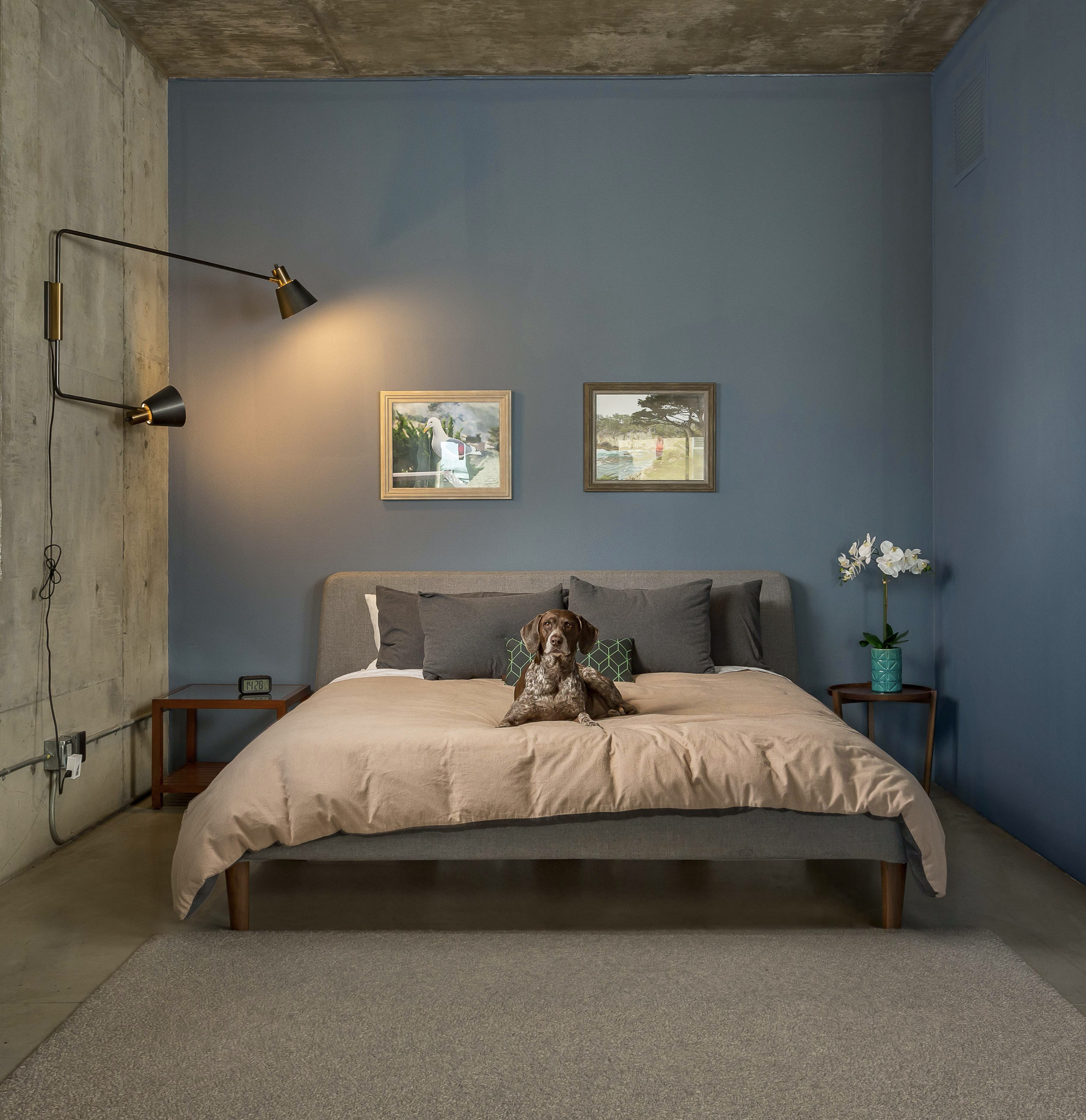 Marley in her very own Temple Loft, Unit 519. This 1,785 sq. ft. loft is currently listed by The Whipple Group.