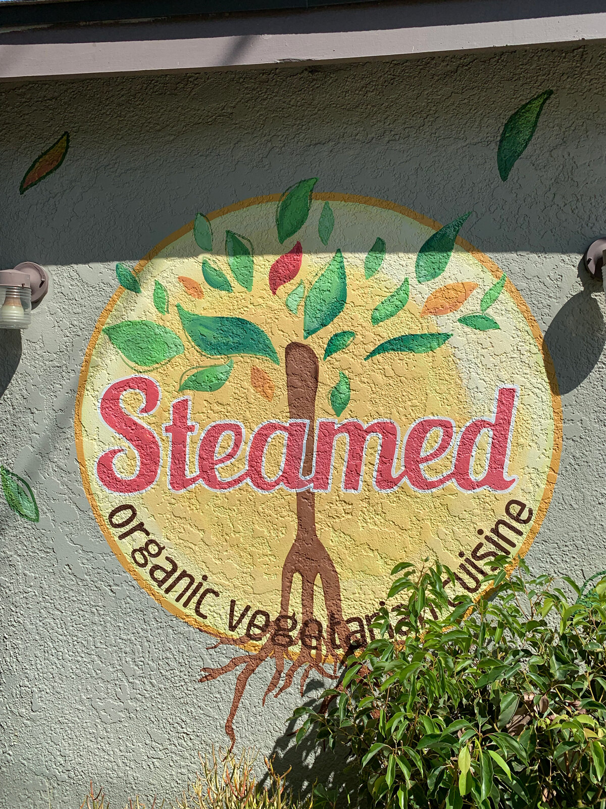 Steamed_logo.jpg